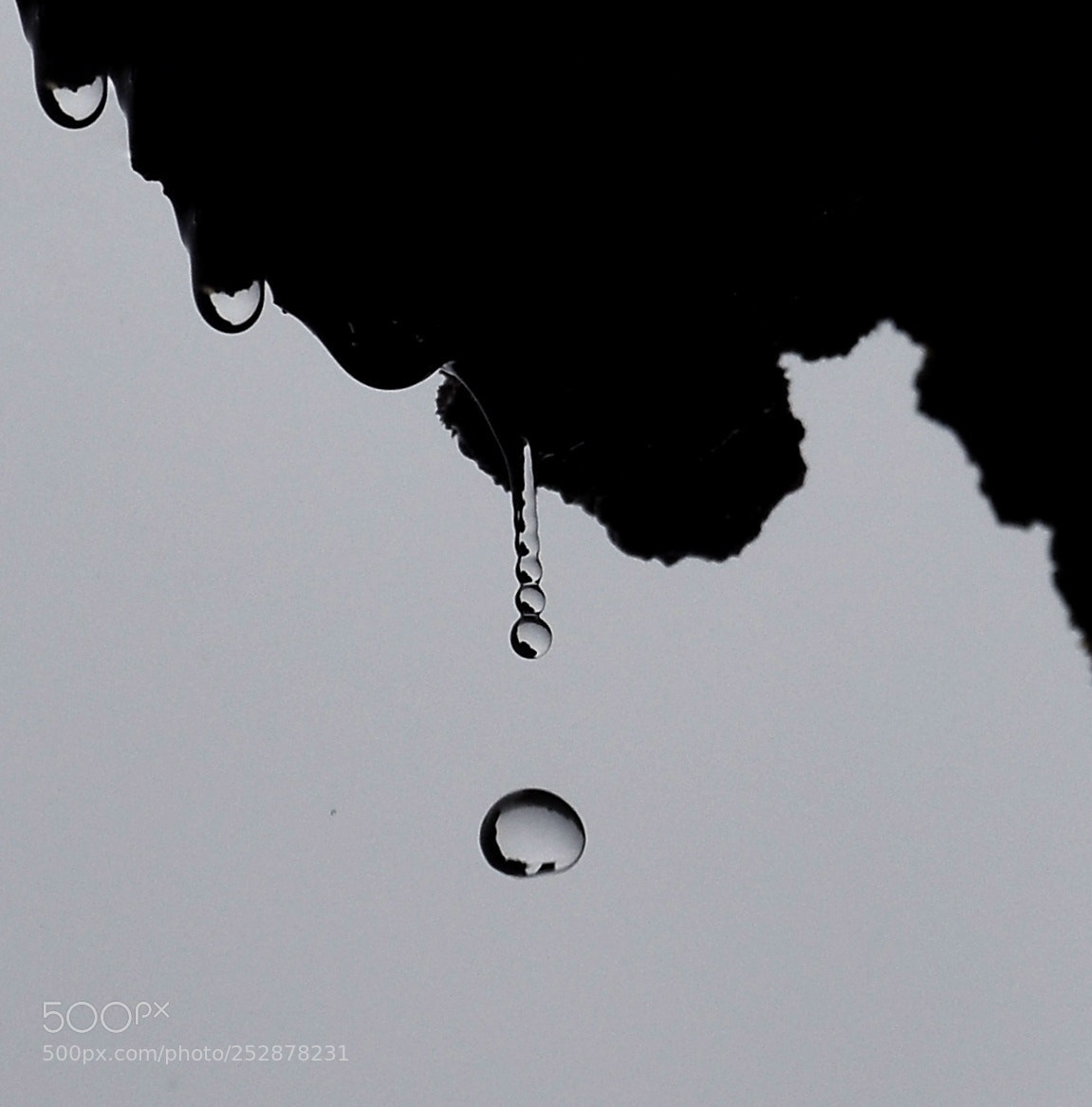 Nikon D7200 sample photo. On a rainy day photography