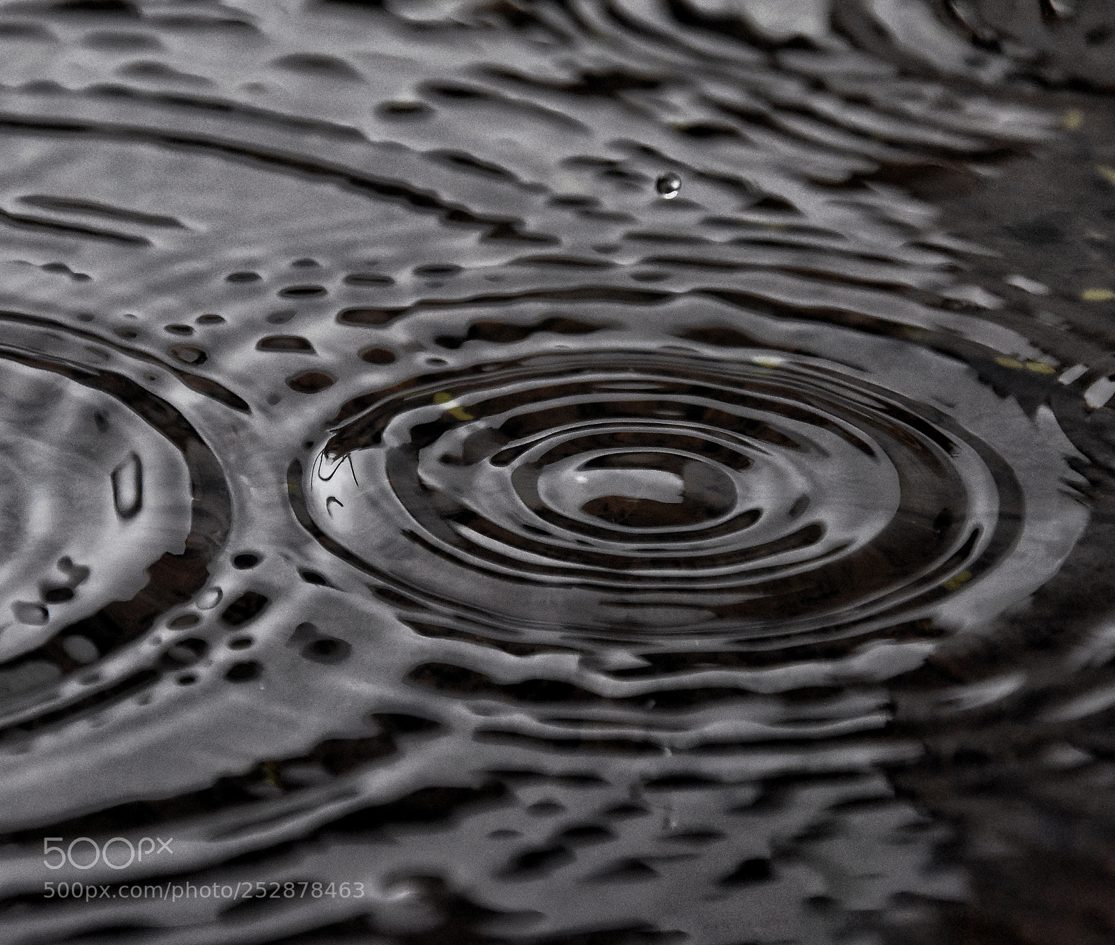 Nikon D7200 sample photo. Ripples photography