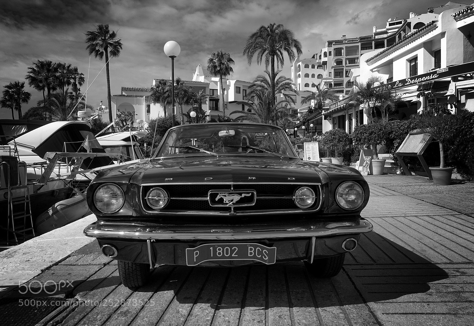 Sony Cyber-shot DSC-RX10 III sample photo. Ford mustang photography