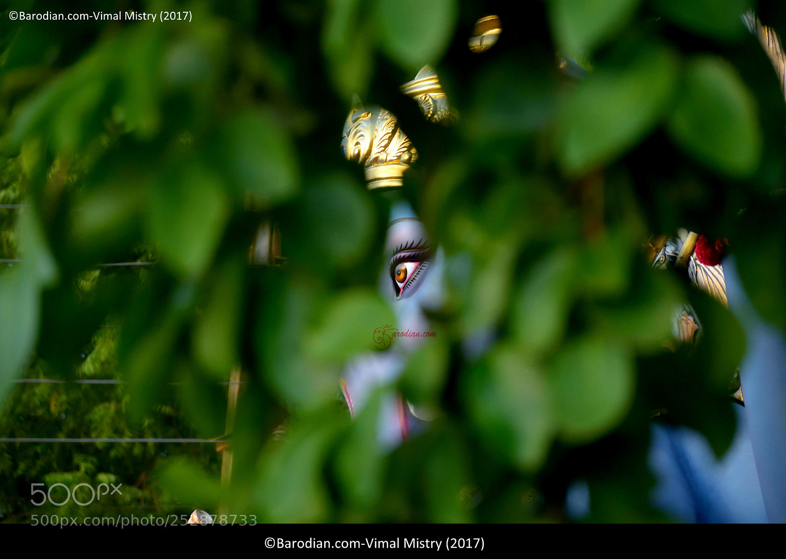 Nikon D5300 sample photo. Eyes of vadodara na photography