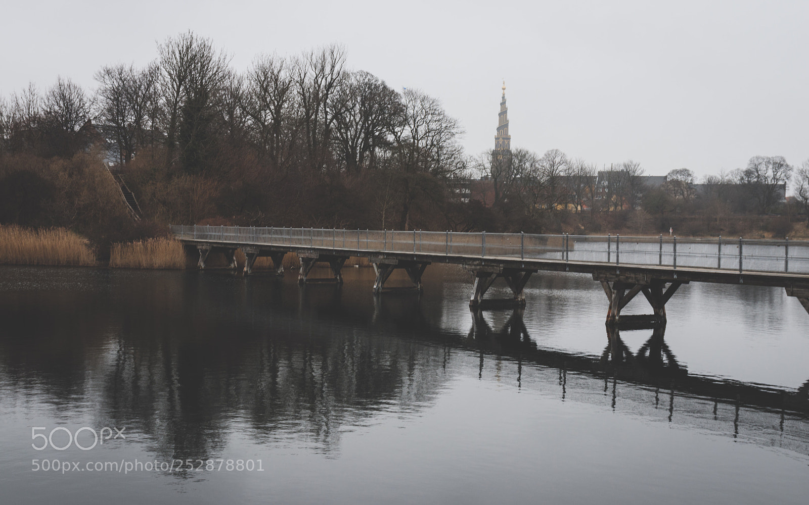 Canon EOS 77D (EOS 9000D / EOS 770D) sample photo. Untitled photography