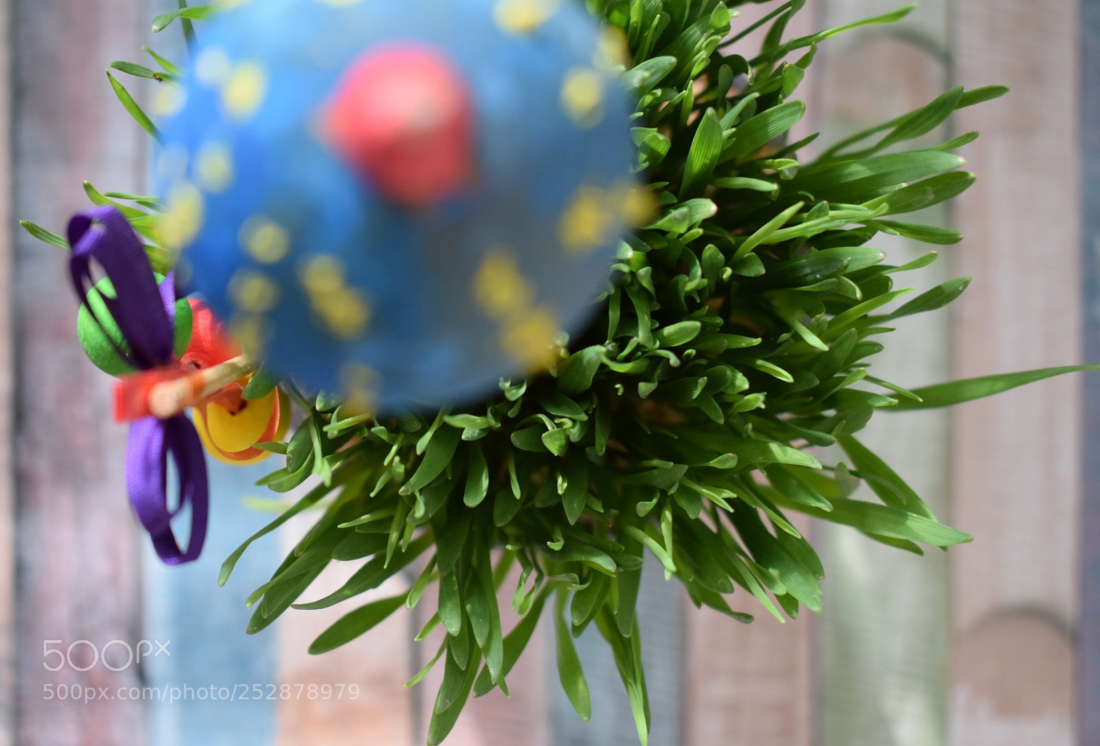 Nikon D5300 sample photo. Easter photography