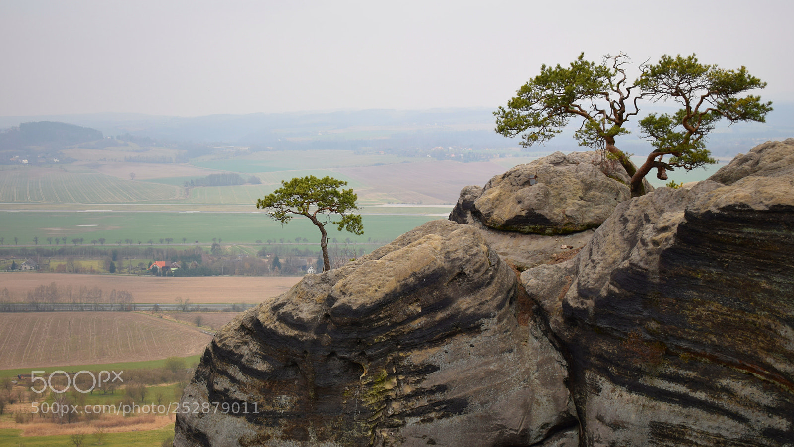 Nikon D5300 sample photo. Life and the world photography