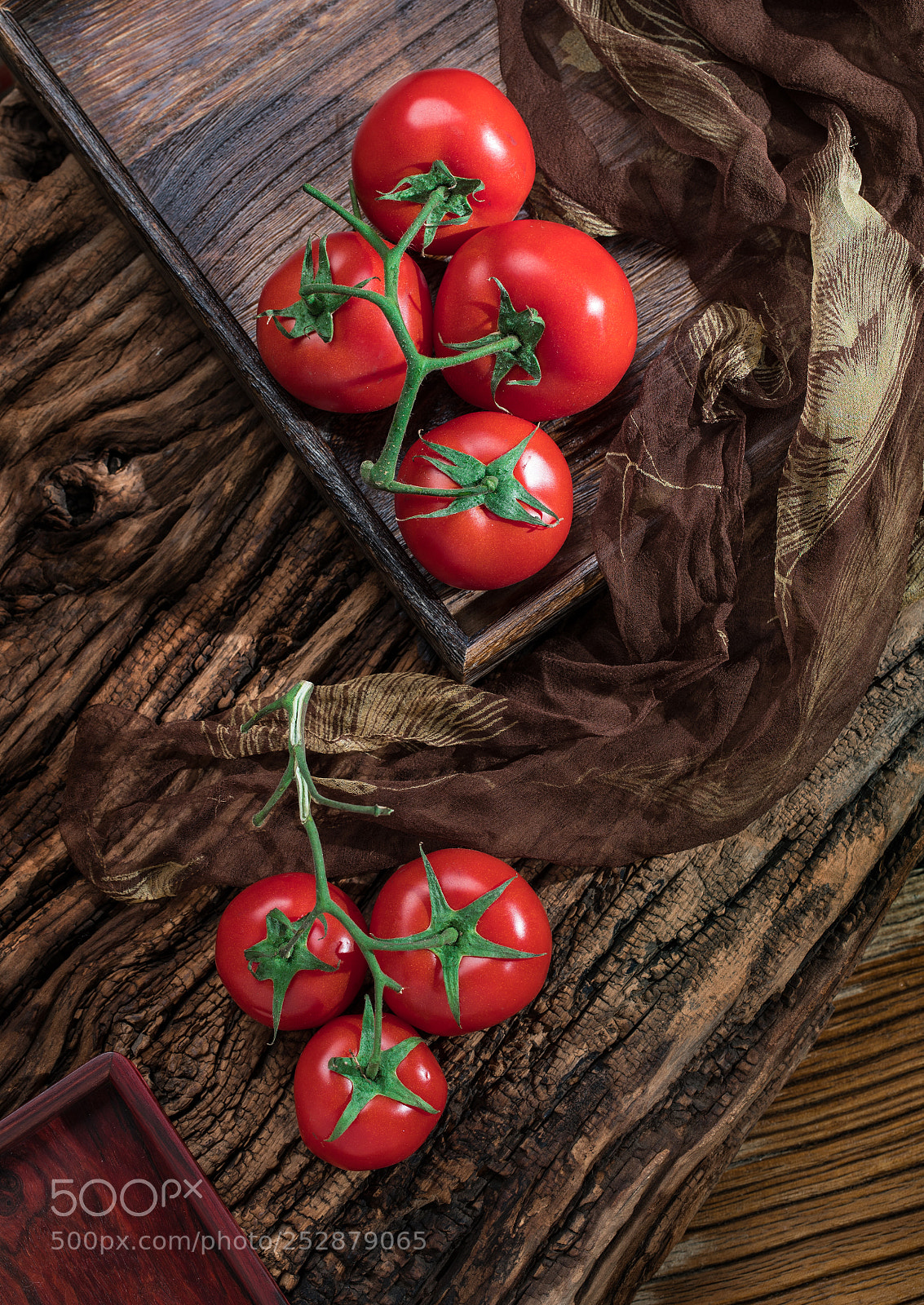 Canon EOS-1D X Mark II sample photo. Quiet red photography