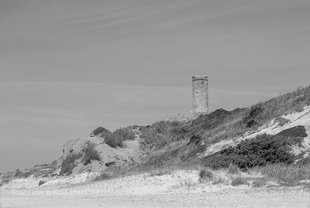 Olympus OM-D E-M10 II sample photo. Torre del puerco photography