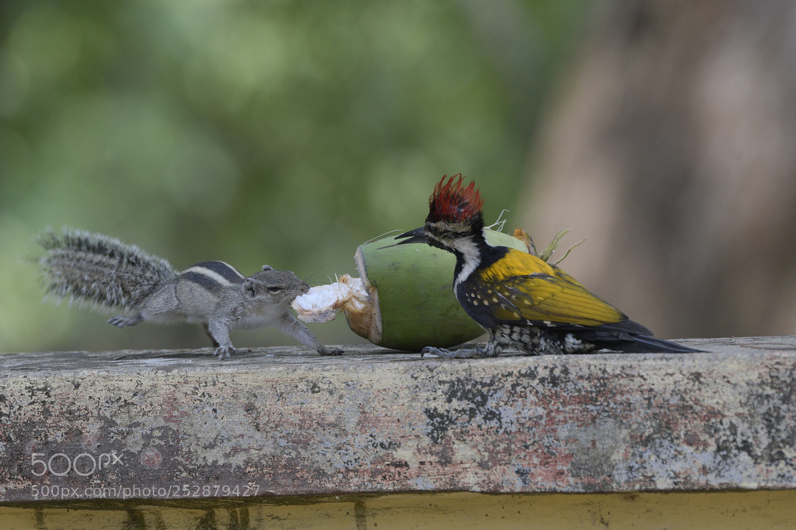 Nikon D500 sample photo. Please leave something for photography