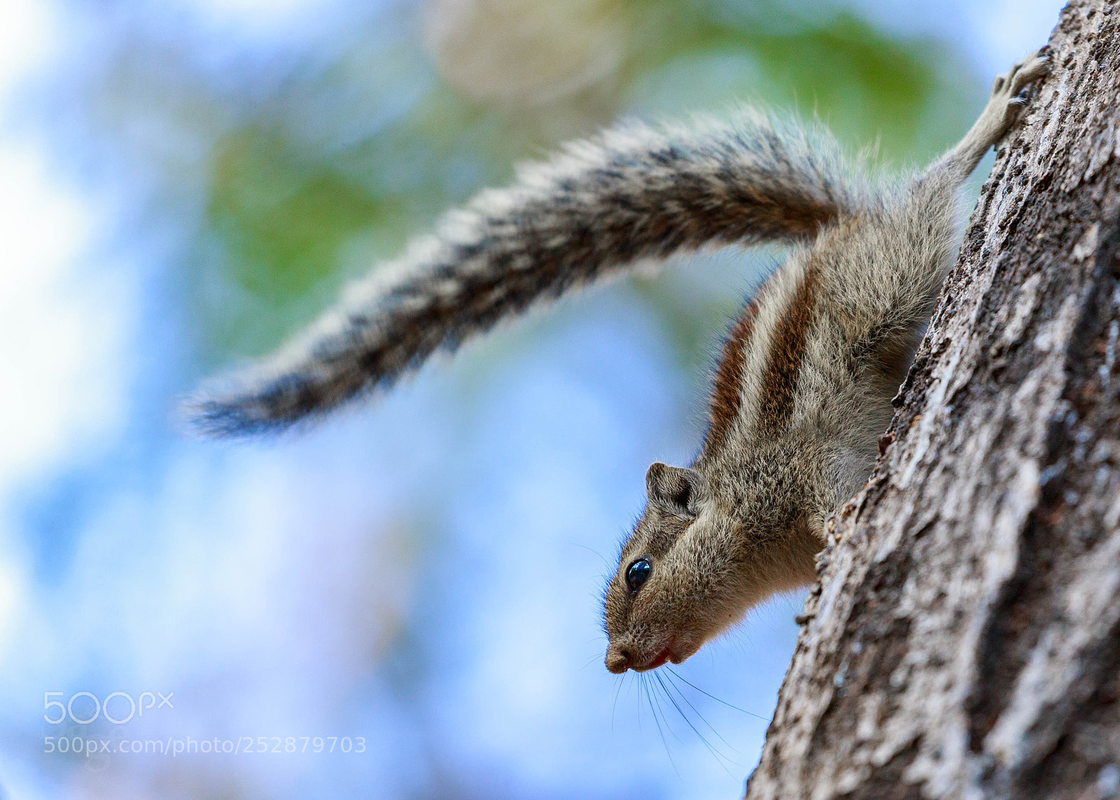 Canon EOS 77D (EOS 9000D / EOS 770D) sample photo. Untitled photography