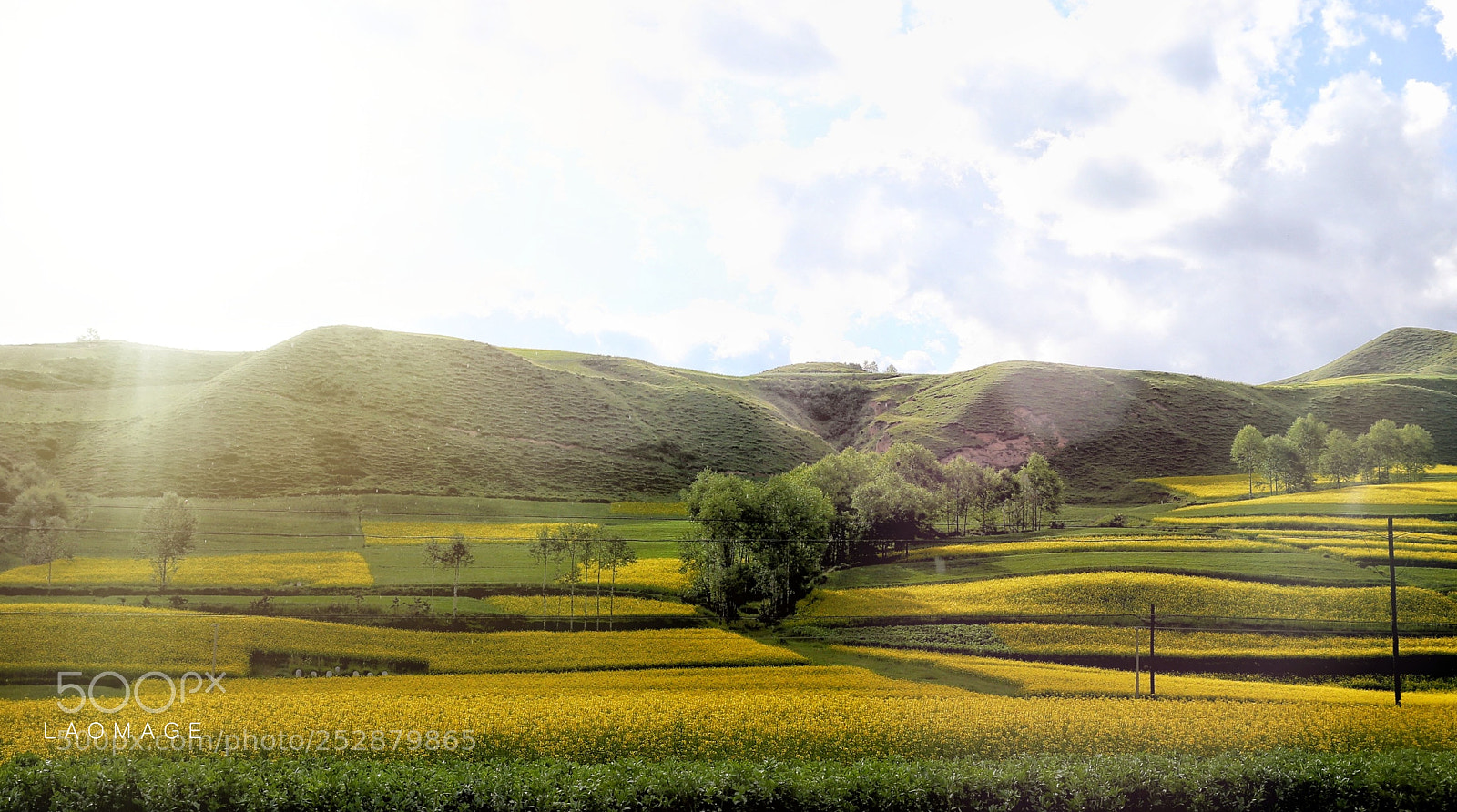 Canon EOS-1D X sample photo. 阳光 photography