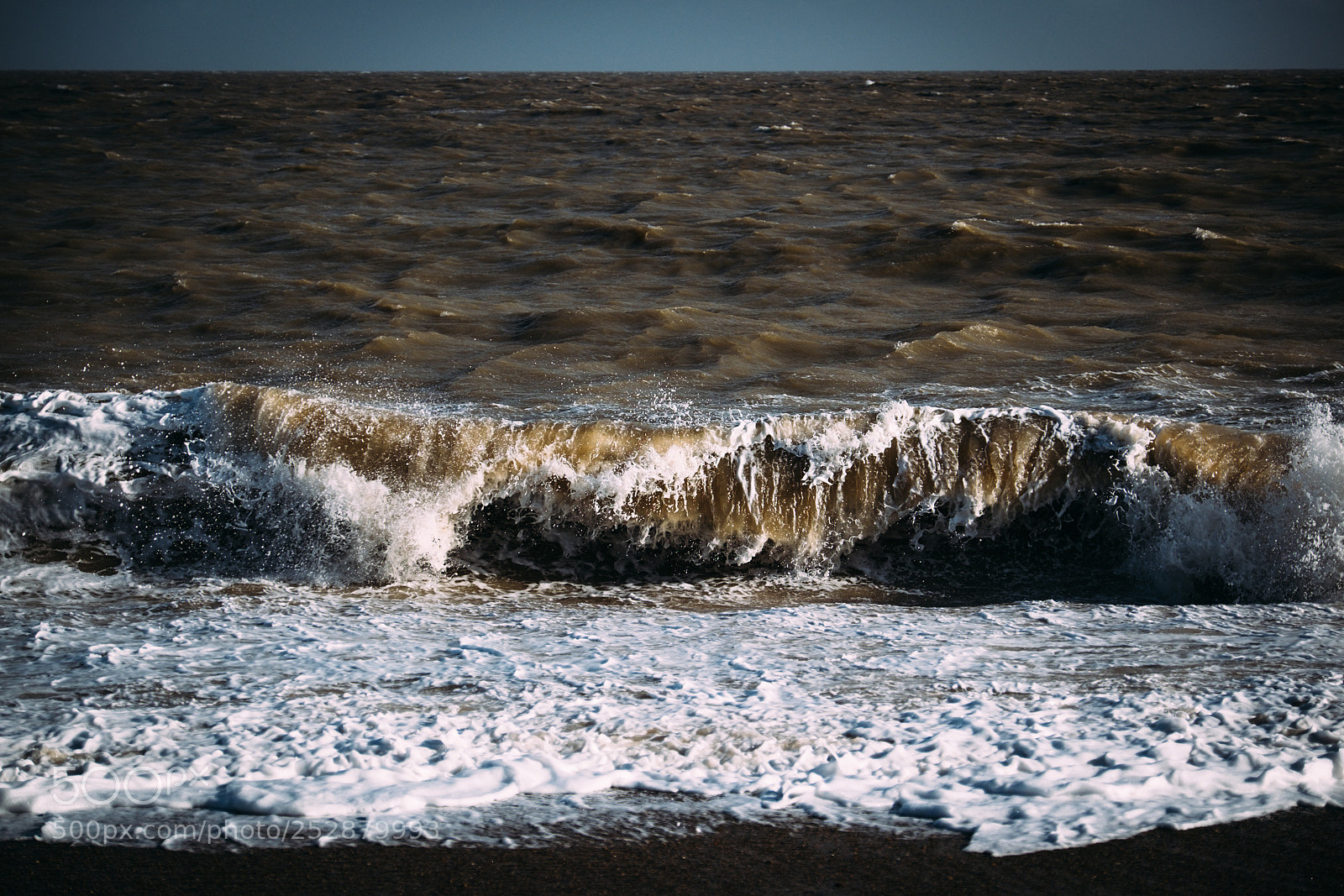 Fujifilm X-T1 sample photo. Waving at you photography