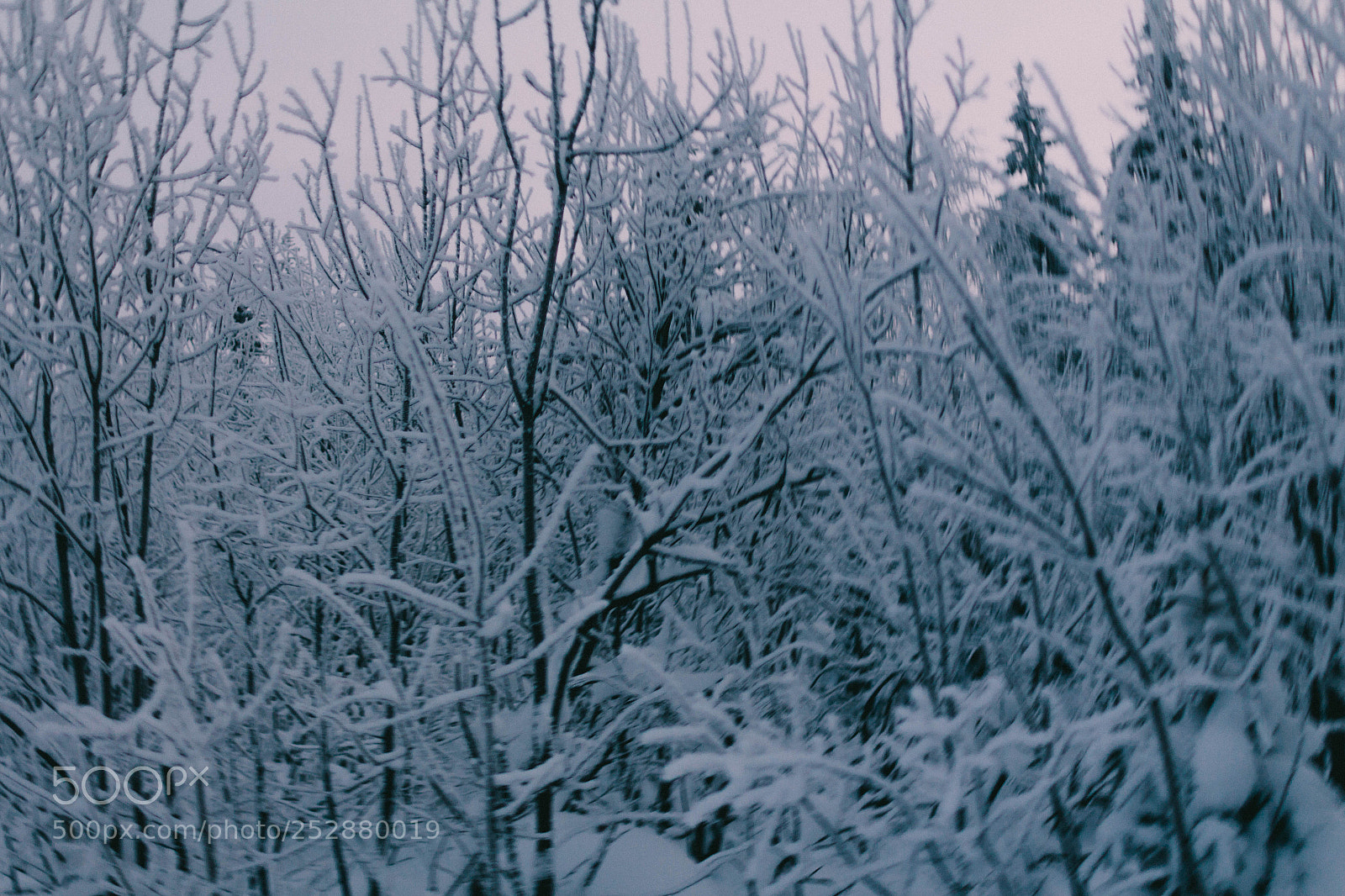 Canon EOS 650D (EOS Rebel T4i / EOS Kiss X6i) sample photo. Krasnovisherskiy rayon, russia photography