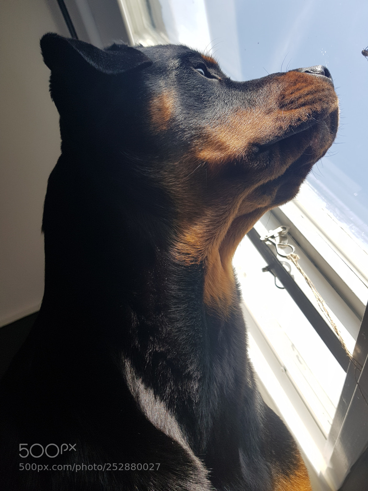 Samsung Galaxy S8 sample photo. Untitled photography
