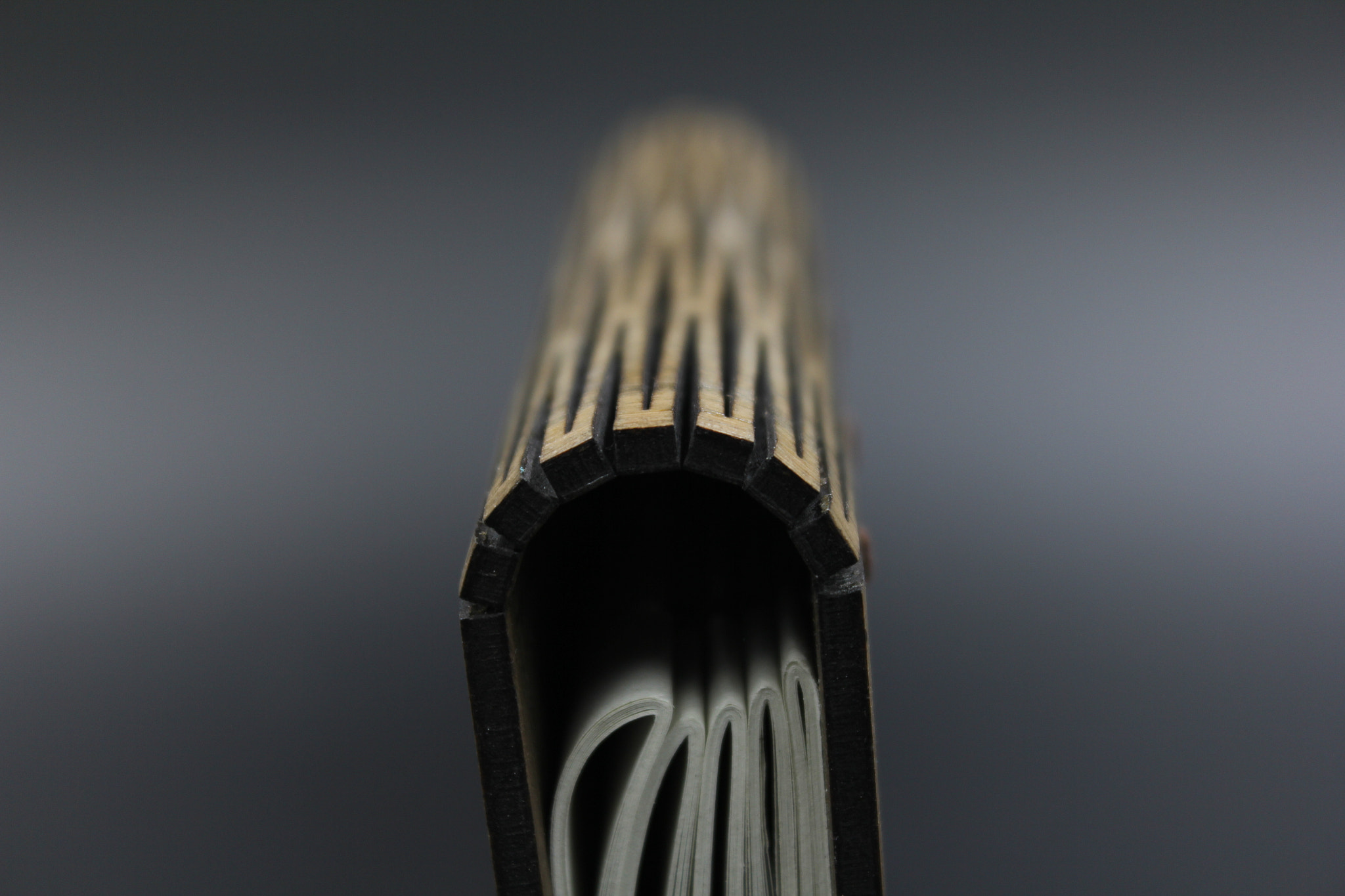Canon EF-S 18-55mm F3.5-5.6 IS sample photo. Wood introspection photography