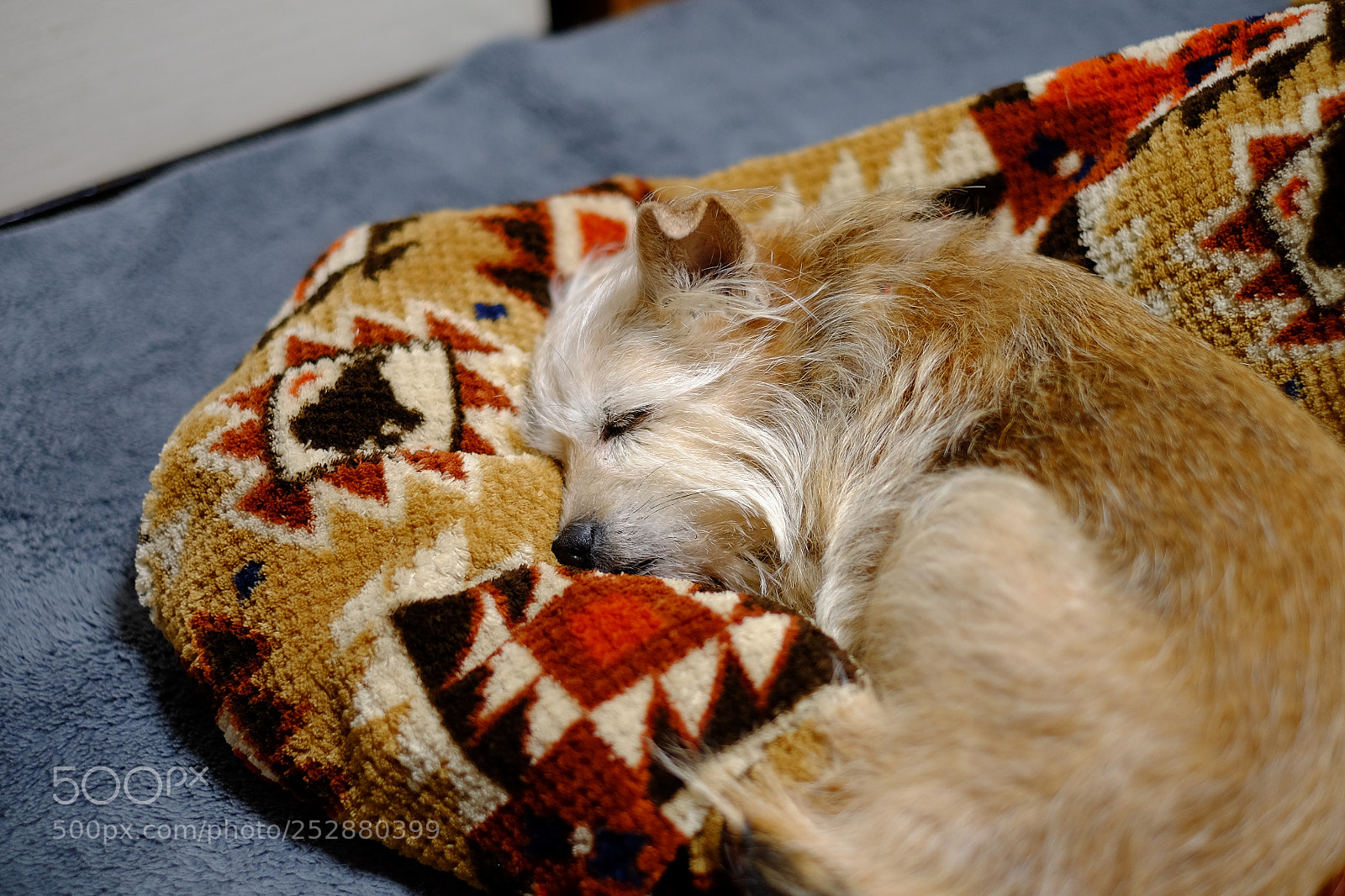 Fujifilm X-T1 sample photo. My family photography