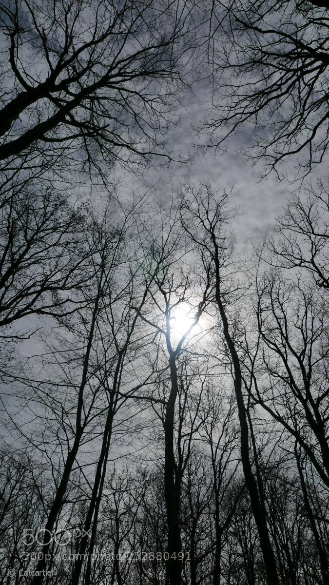 Panasonic Lumix DMC-LX100 sample photo. Convergence photography