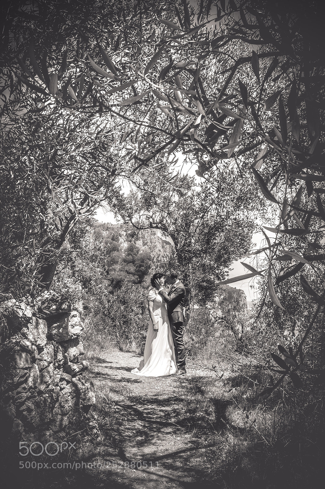Nikon D300 sample photo. Wedding in the trees, 2017 photography