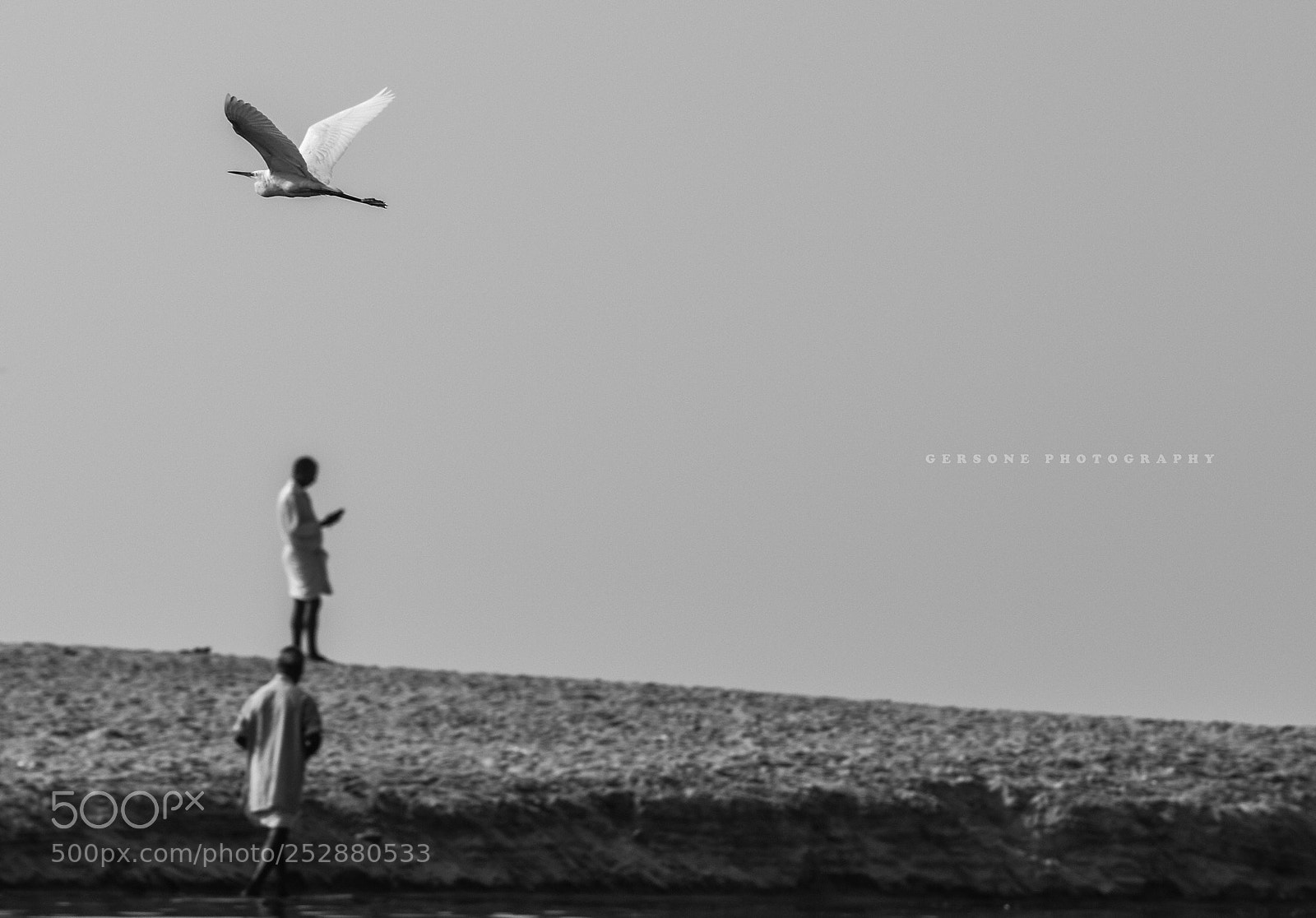 Nikon D810 sample photo. Untitled photography