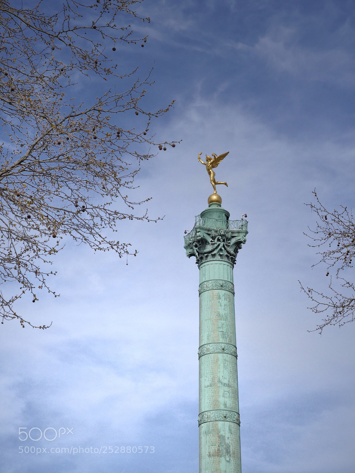 Panasonic Lumix DMC-GH4 sample photo. Like a bird  photography