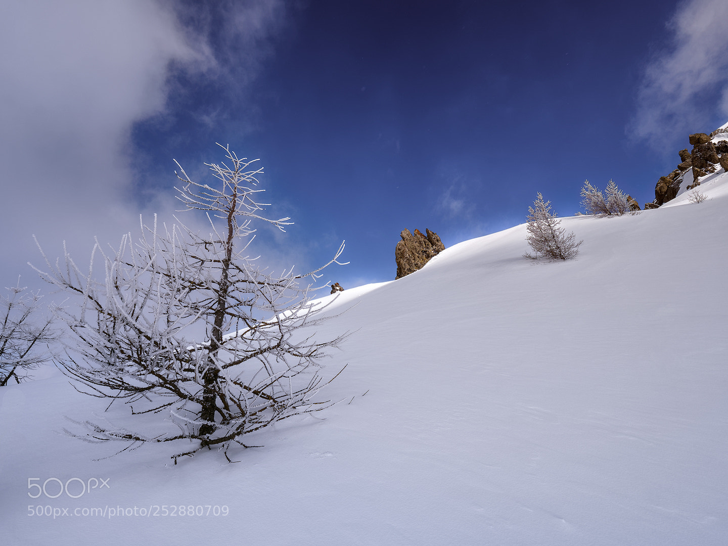 Panasonic Lumix DMC-GX8 sample photo. Snow motion 3 photography