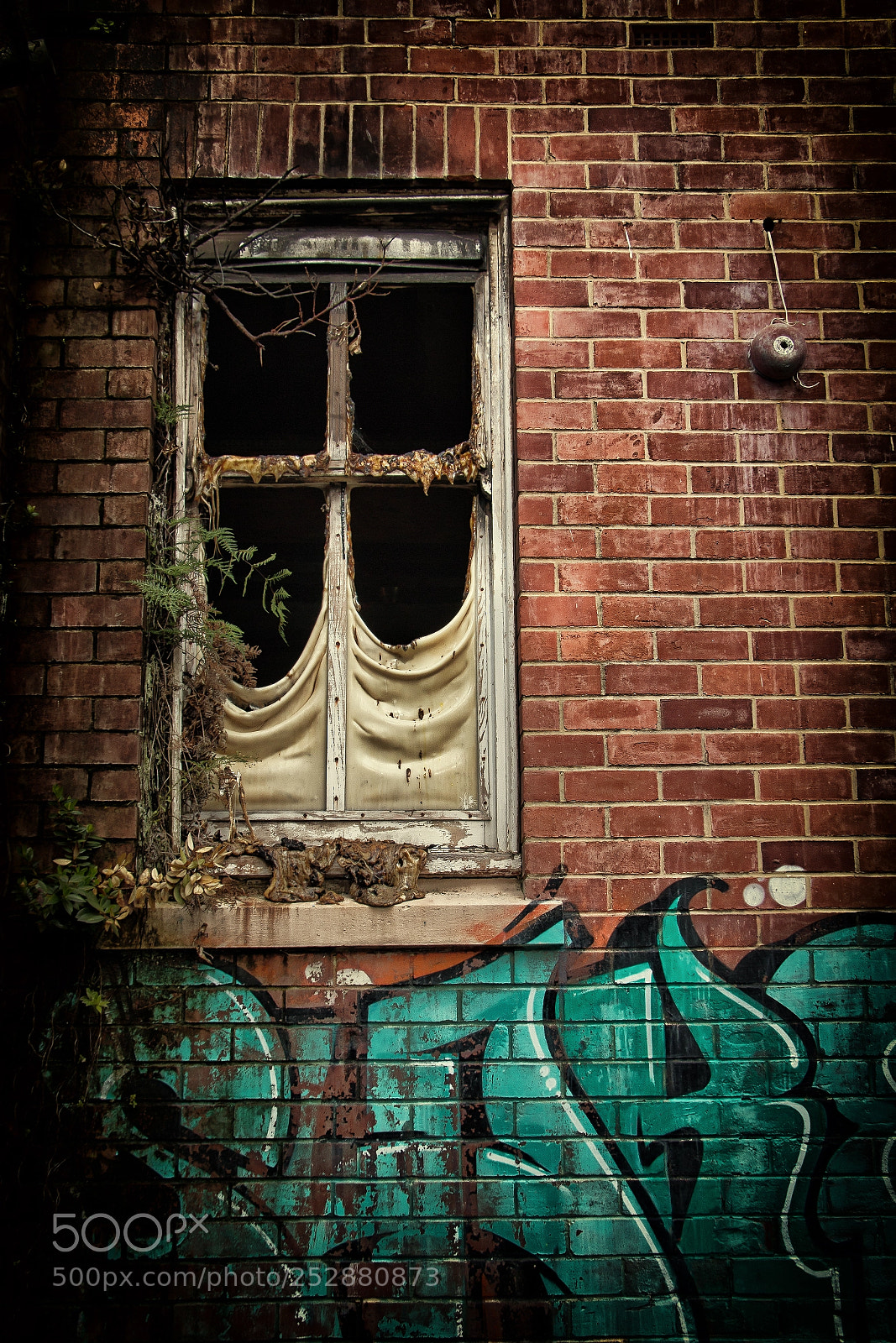 Canon EOS 70D sample photo. Lost photography
