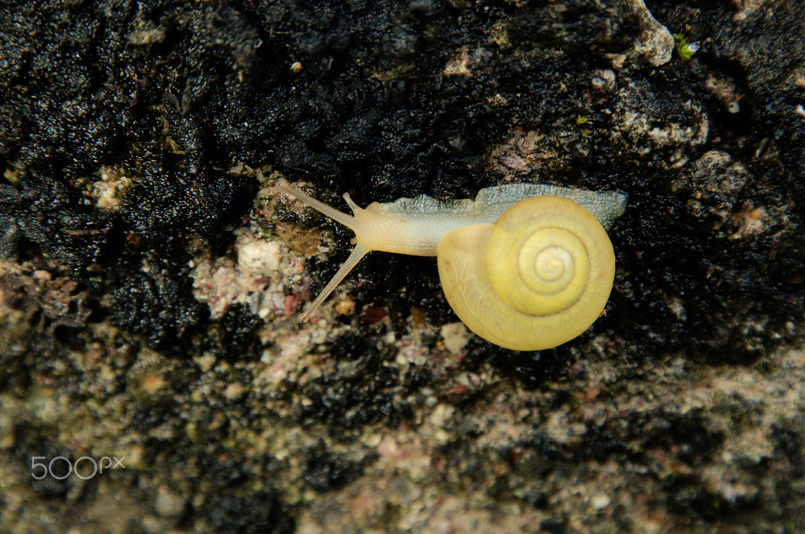 Nikon D300 sample photo. Log this photography