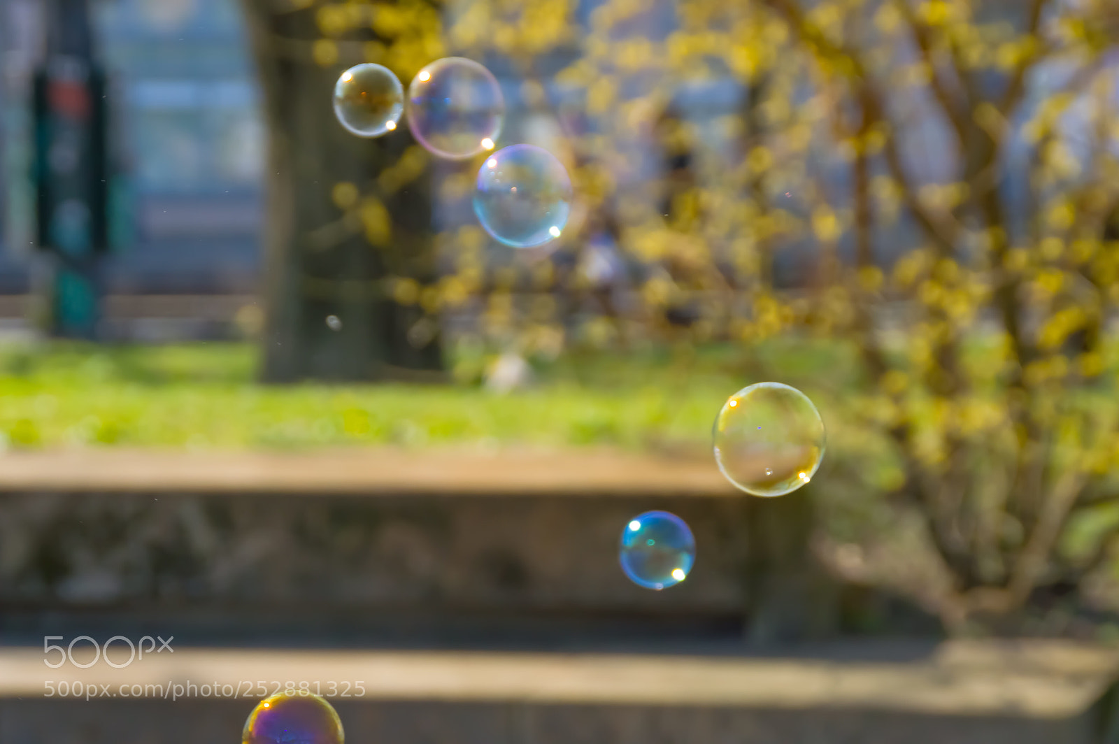 Nikon D3200 sample photo. Bubble  photography