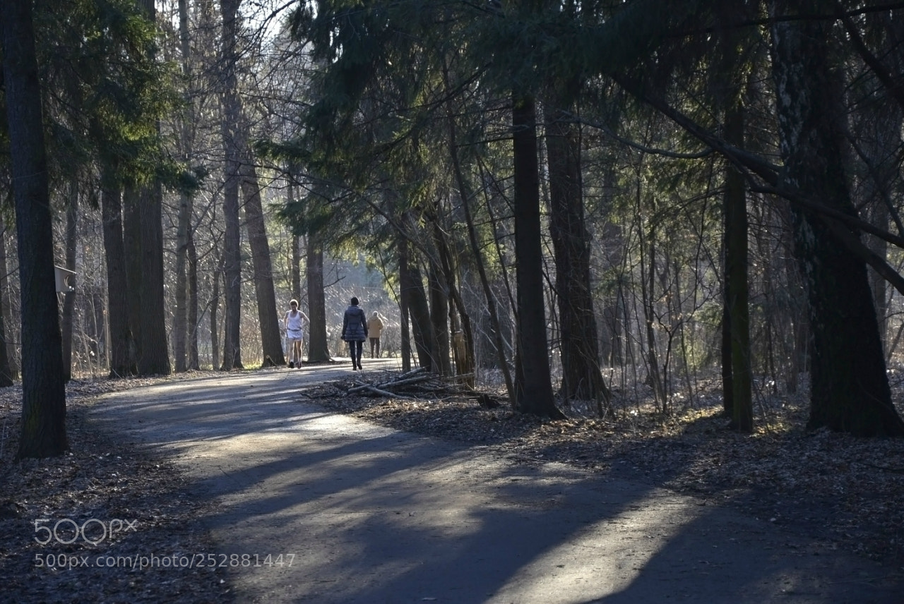 Nikon D600 sample photo. Afd ea orig photography