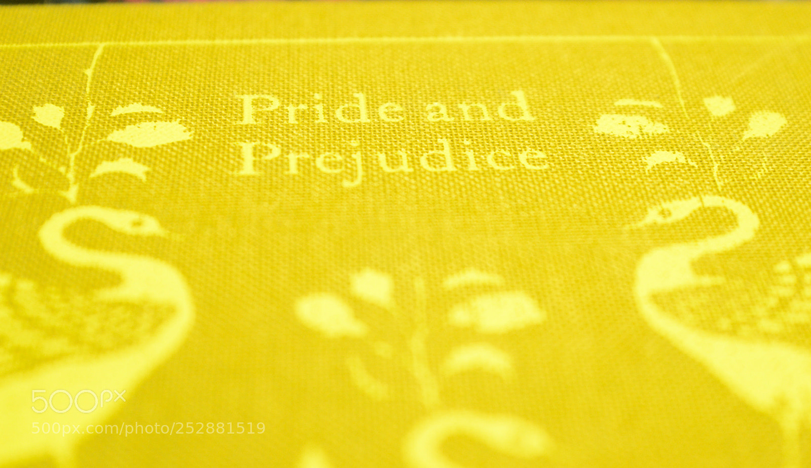 Nikon D3200 sample photo. 12.jpg photography