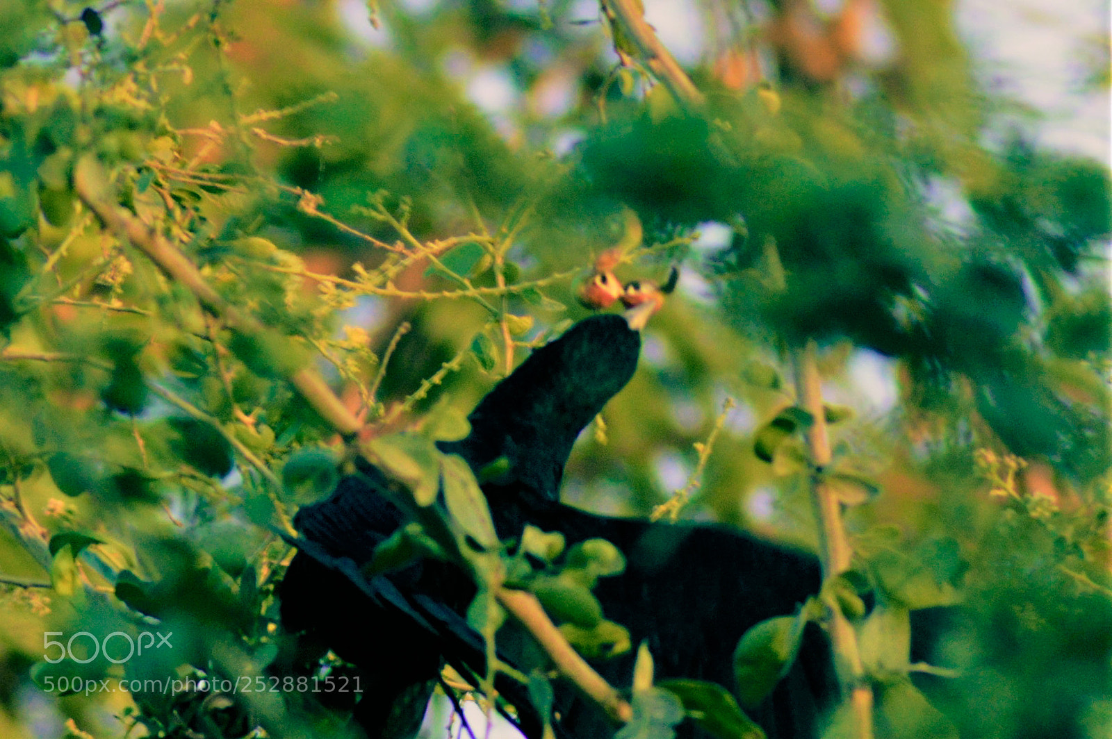 Nikon D3200 sample photo. 13.jpg photography