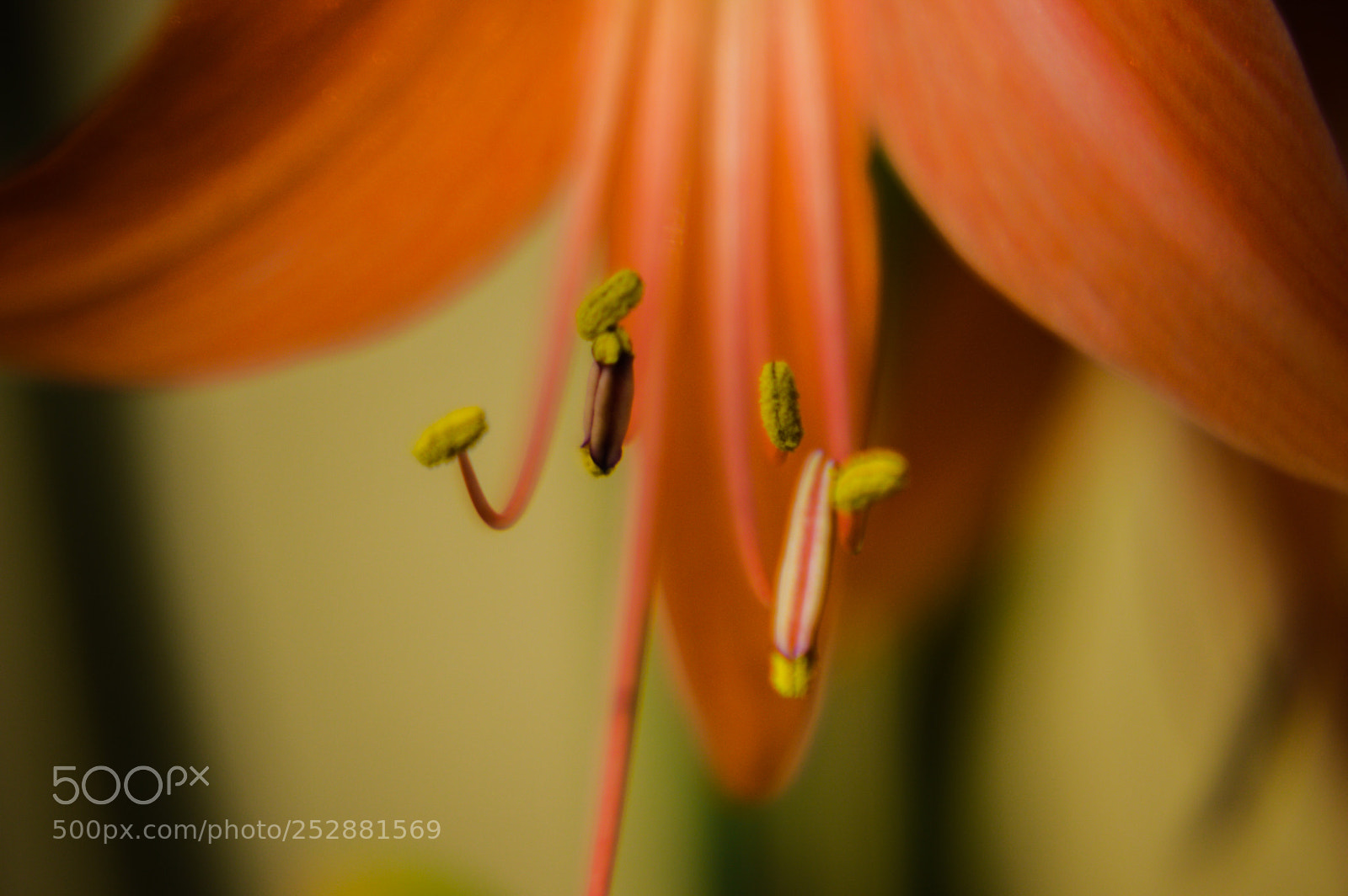 Nikon D3200 sample photo. 15.jpg photography