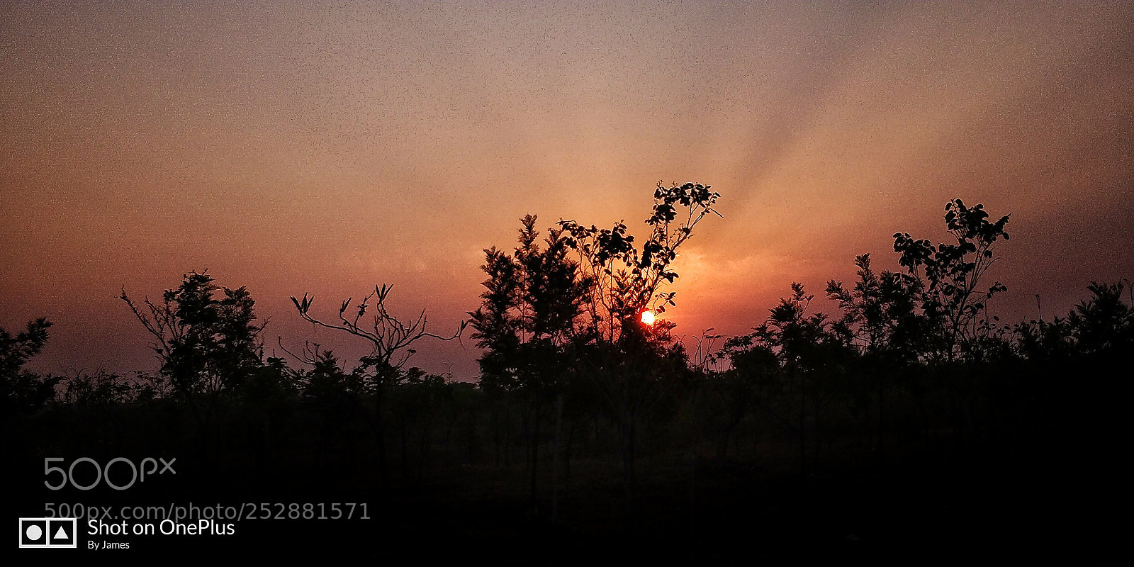 OnePlus 5T sample photo. Sun set photography