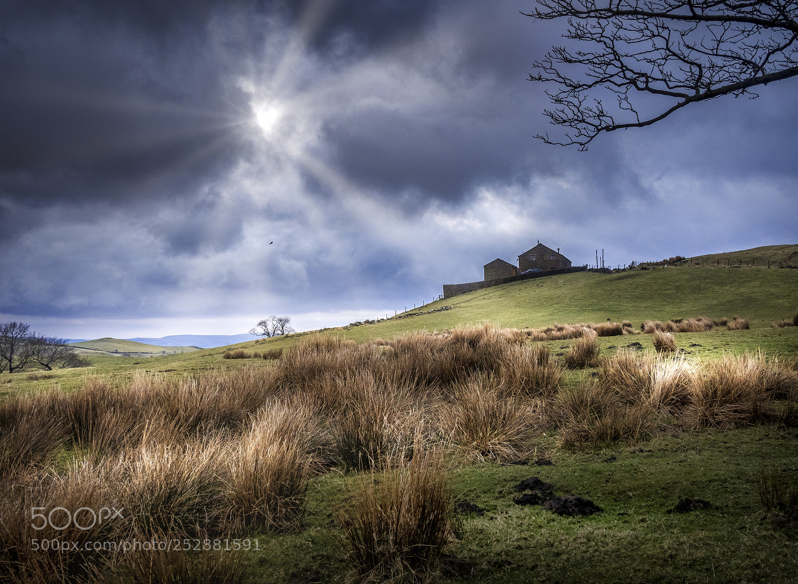 Olympus OM-D E-M1 Mark II sample photo. The sun breaks through photography