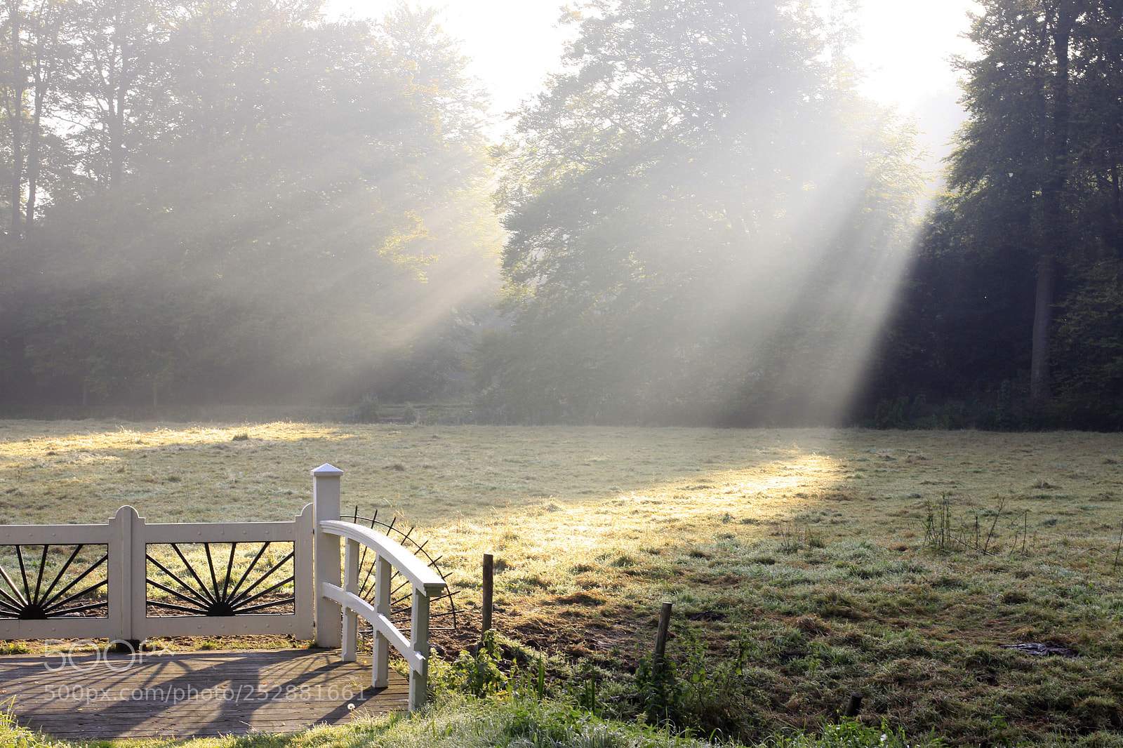 Canon EOS 50D sample photo. Elswout photography