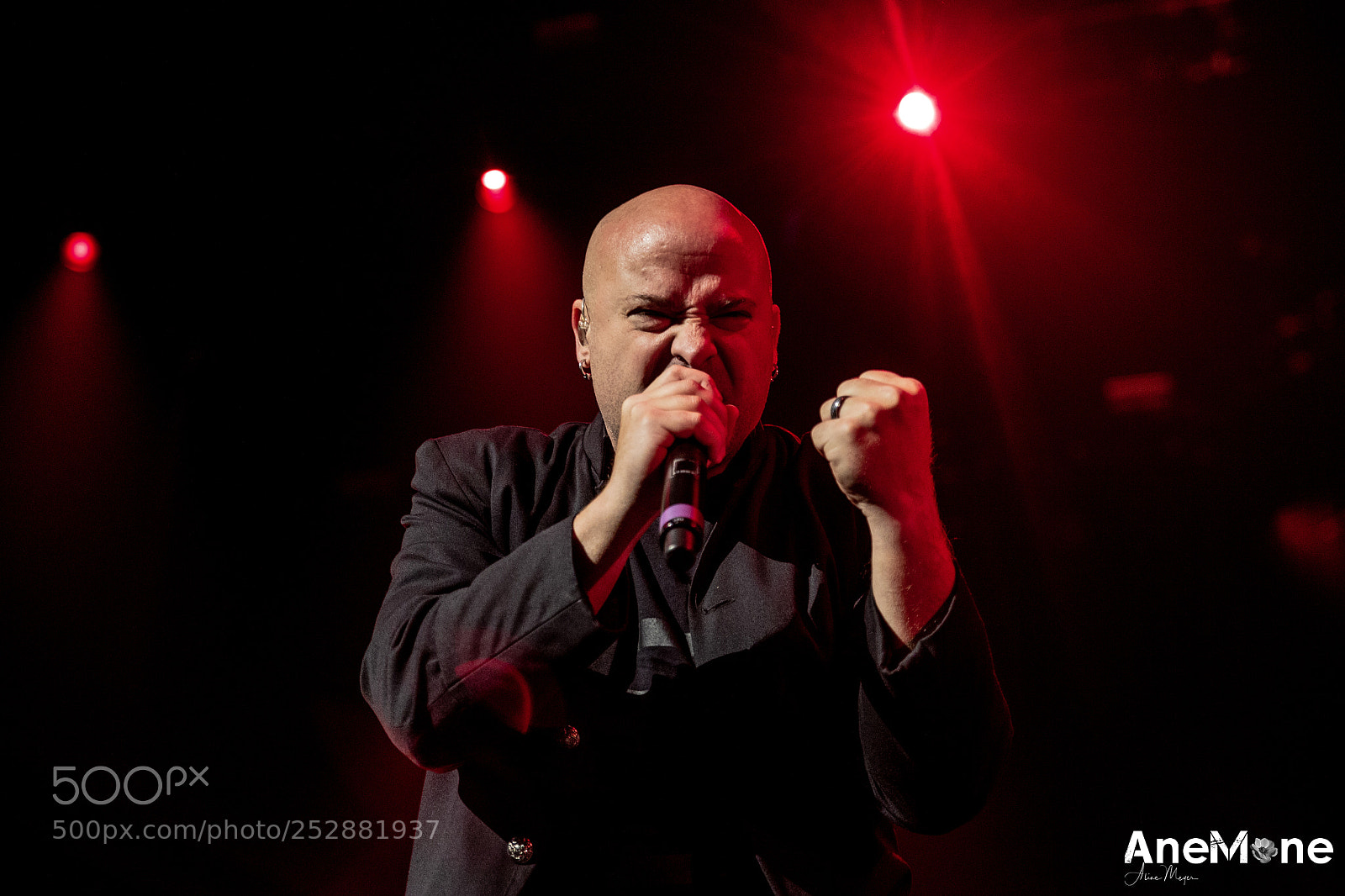 Canon EOS-1D X sample photo. Disturbed photography