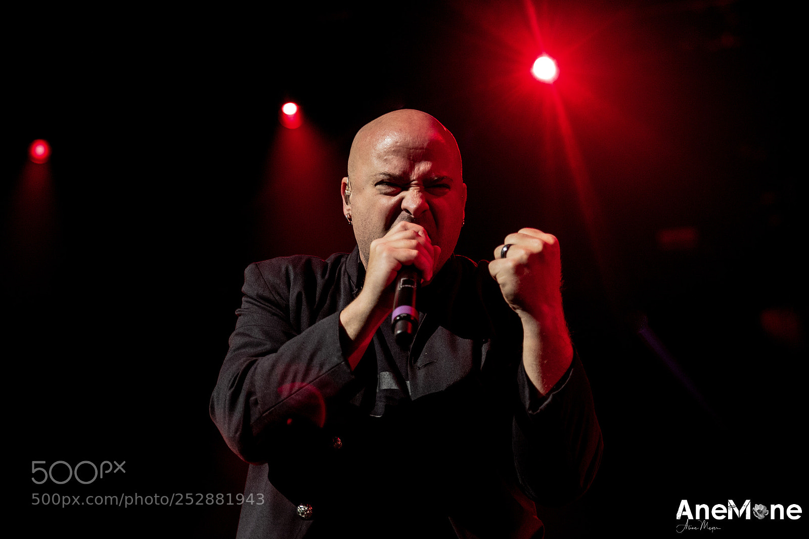 Canon EOS-1D X sample photo. Disturbed photography
