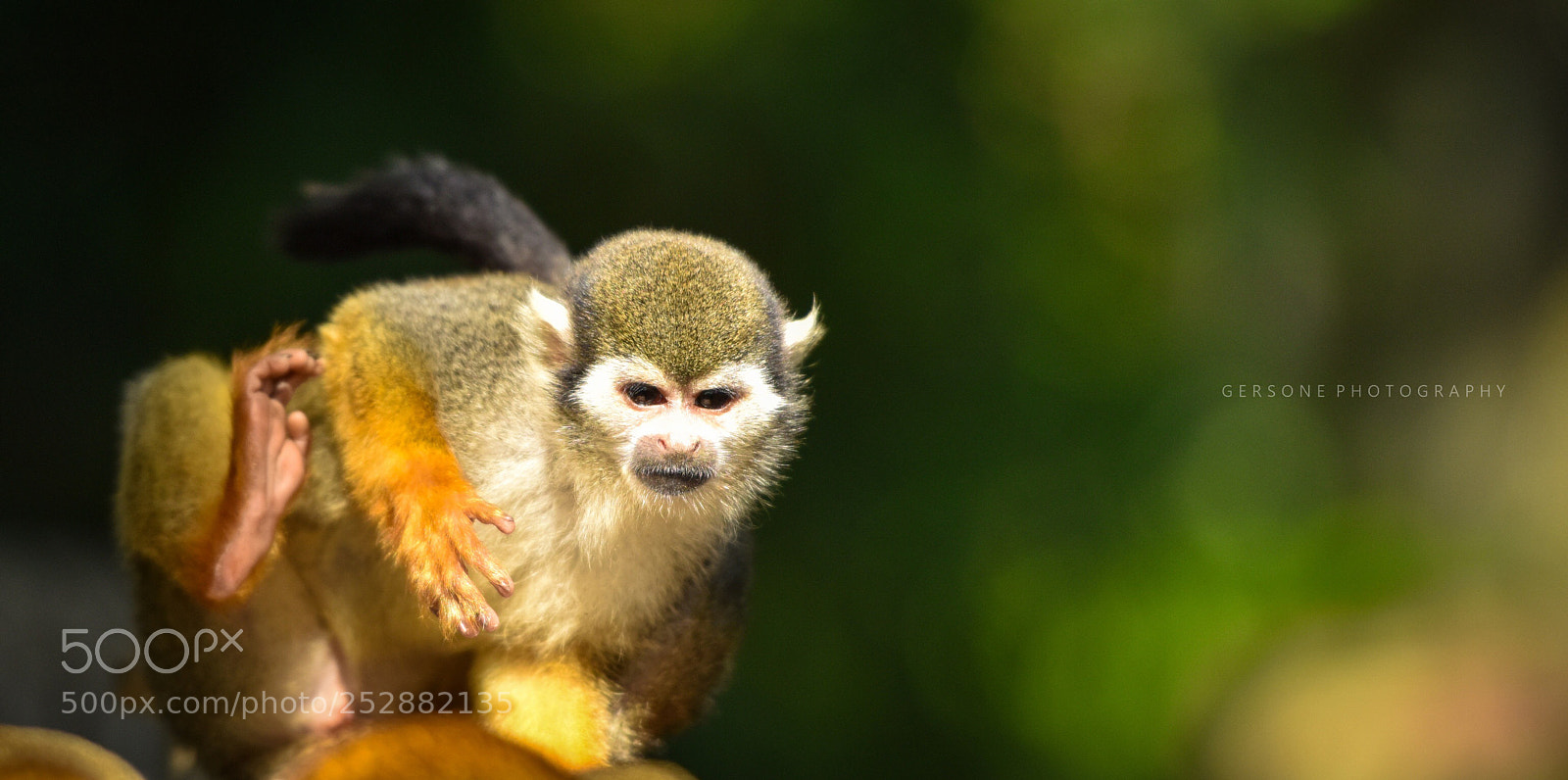 Nikon D810 sample photo. Untitled photography