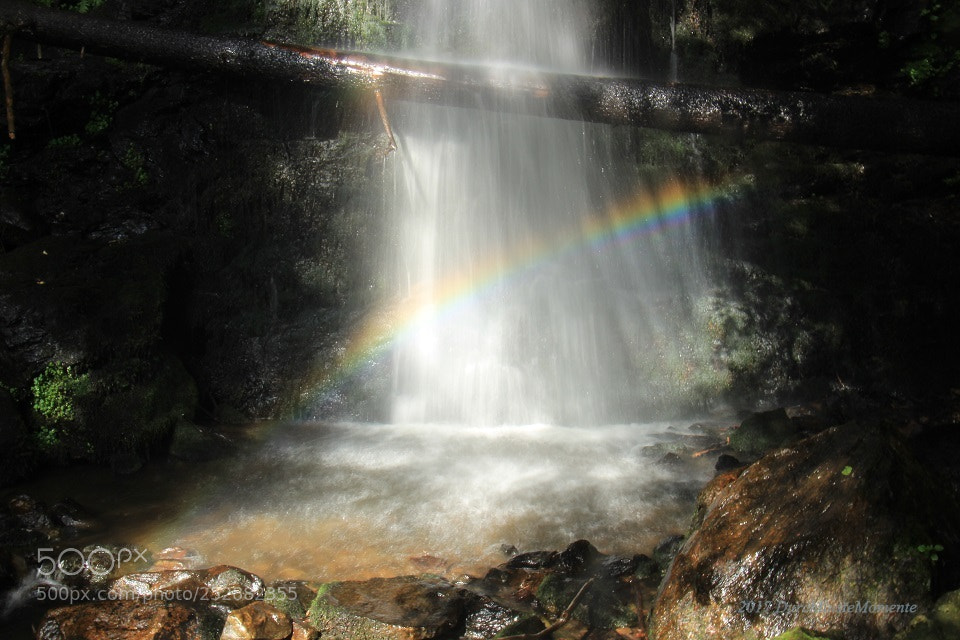 Canon EOS 700D (EOS Rebel T5i / EOS Kiss X7i) sample photo. Zweribachfall schwarzwald photography