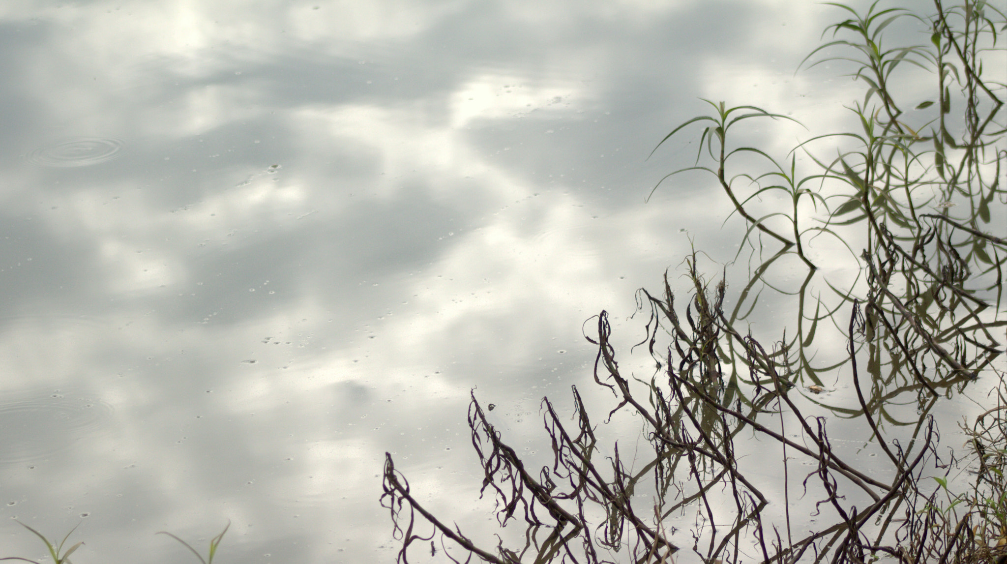 Canon EF 75-300mm f/4-5.6 sample photo. Grey skies or still water? photography