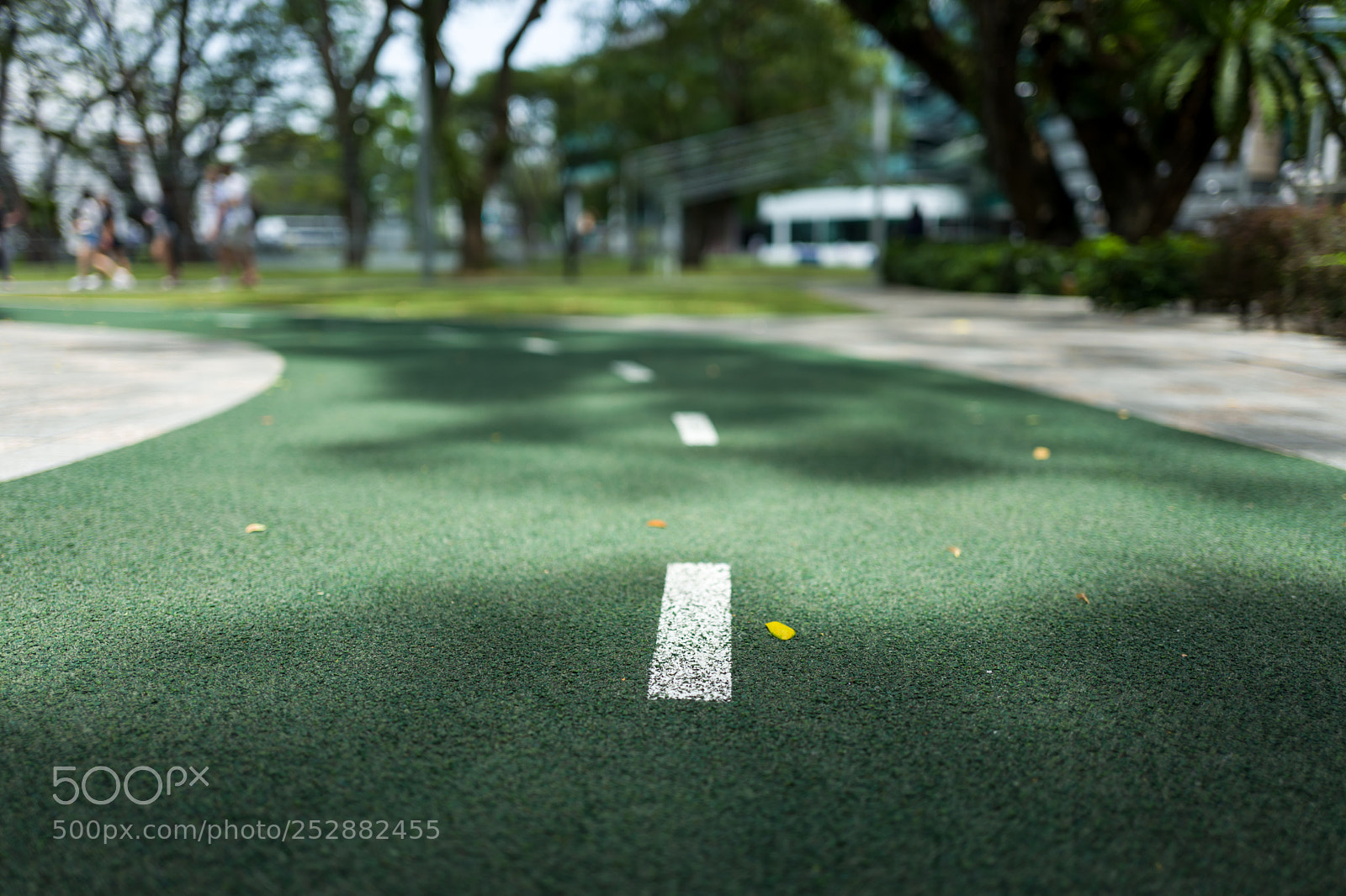Leica Q (Typ 116) sample photo. A green boardwalk in photography