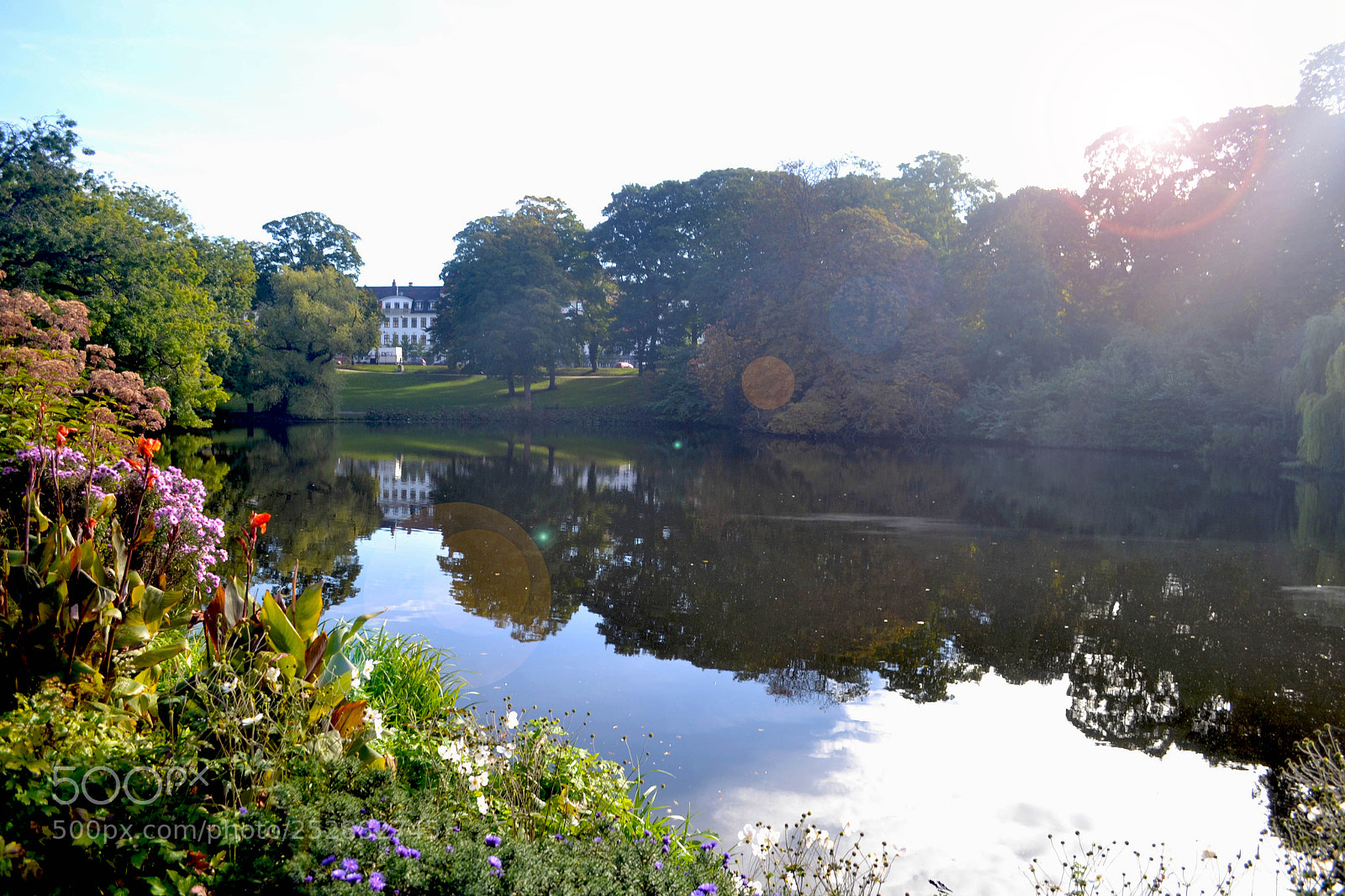 Nikon D3100 sample photo. Ørstedsparken, copenhagen. photography