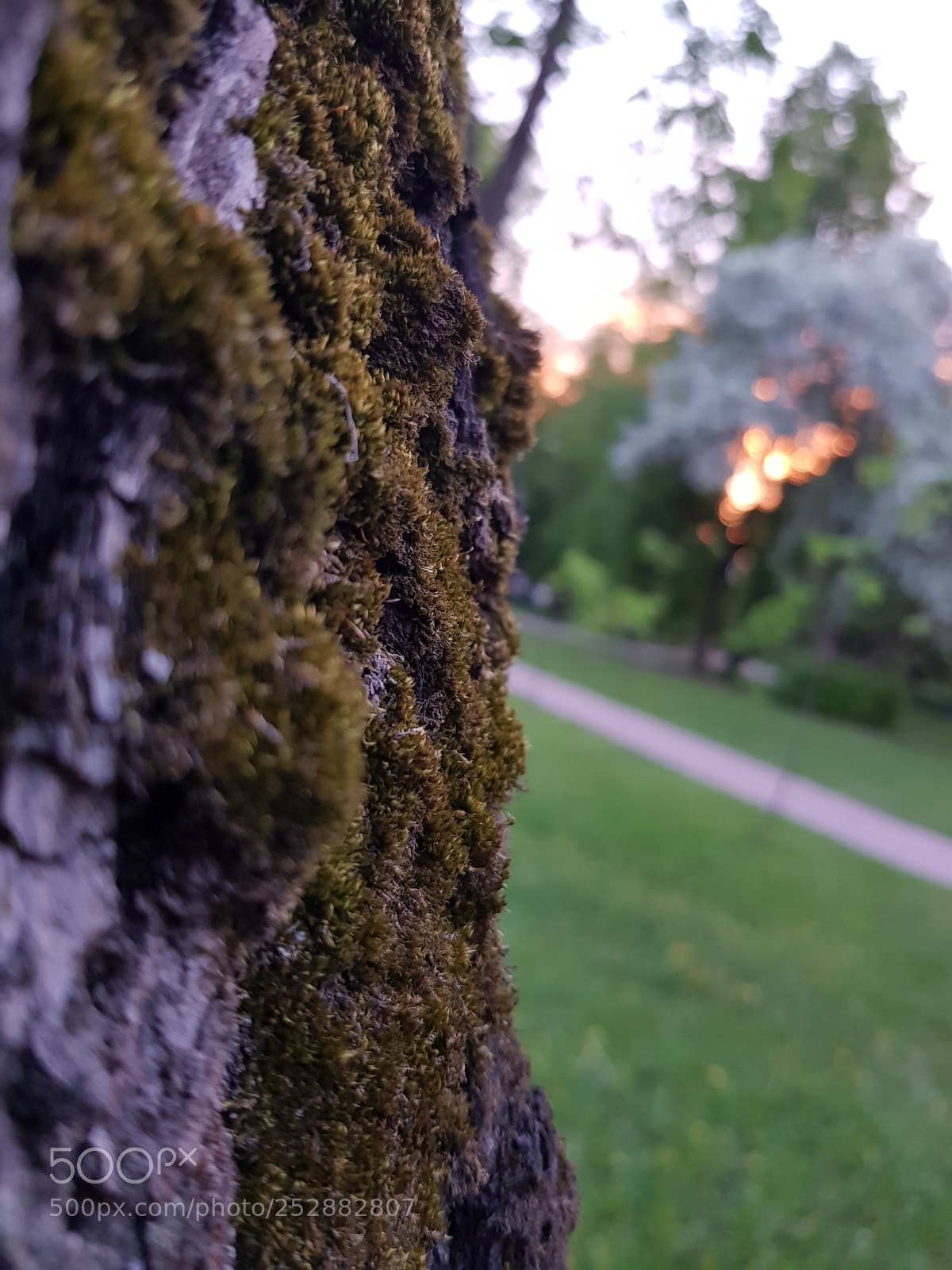 Samsung Galaxy S8 sample photo. Untitled photography