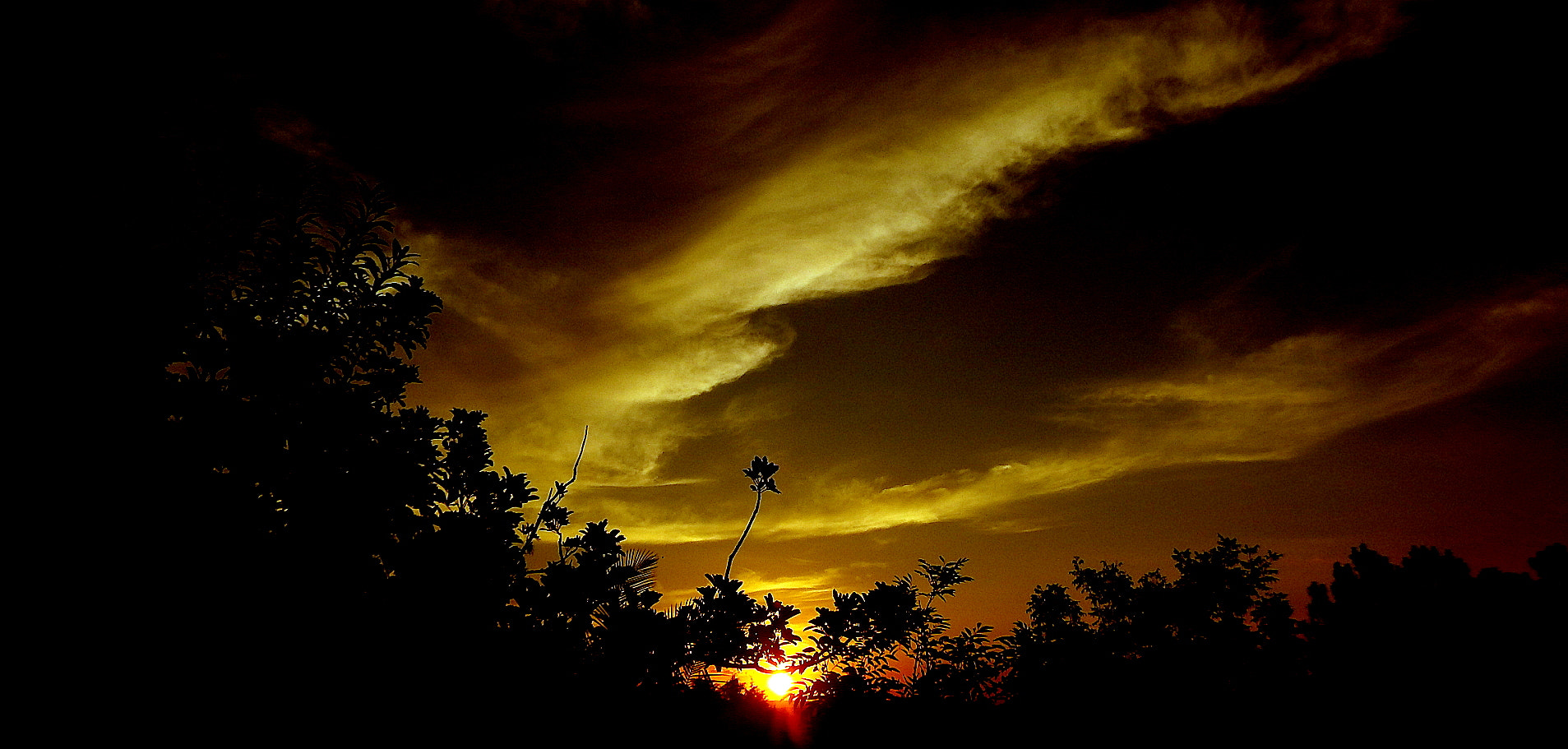 Fujifilm FinePix SL1000 sample photo. Colors of autumn photography