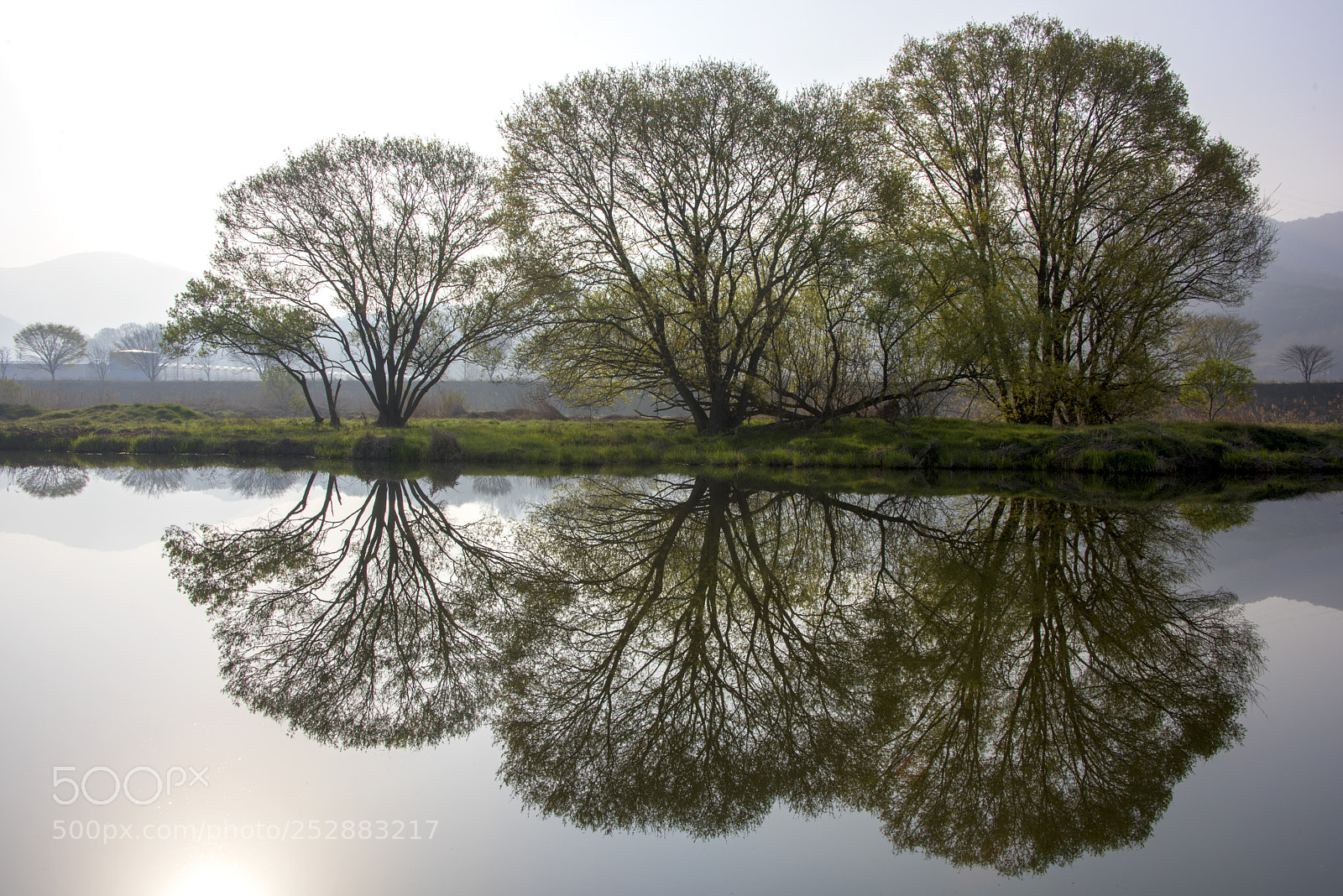 Nikon D810 sample photo. April photography