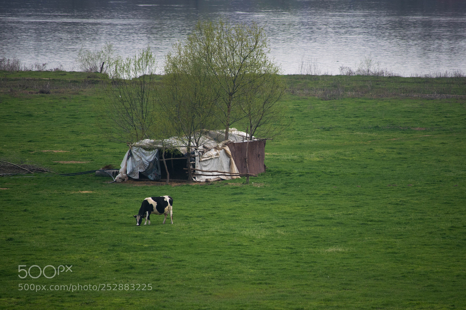 Nikon D5300 sample photo. Countryside landscape photography