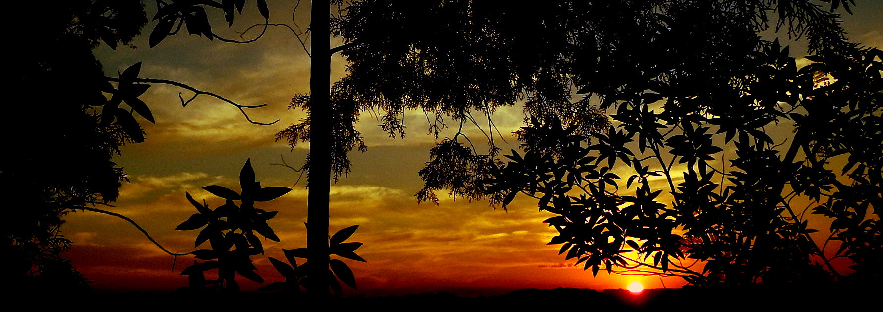 Fujifilm FinePix SL1000 sample photo. Magic hour photography