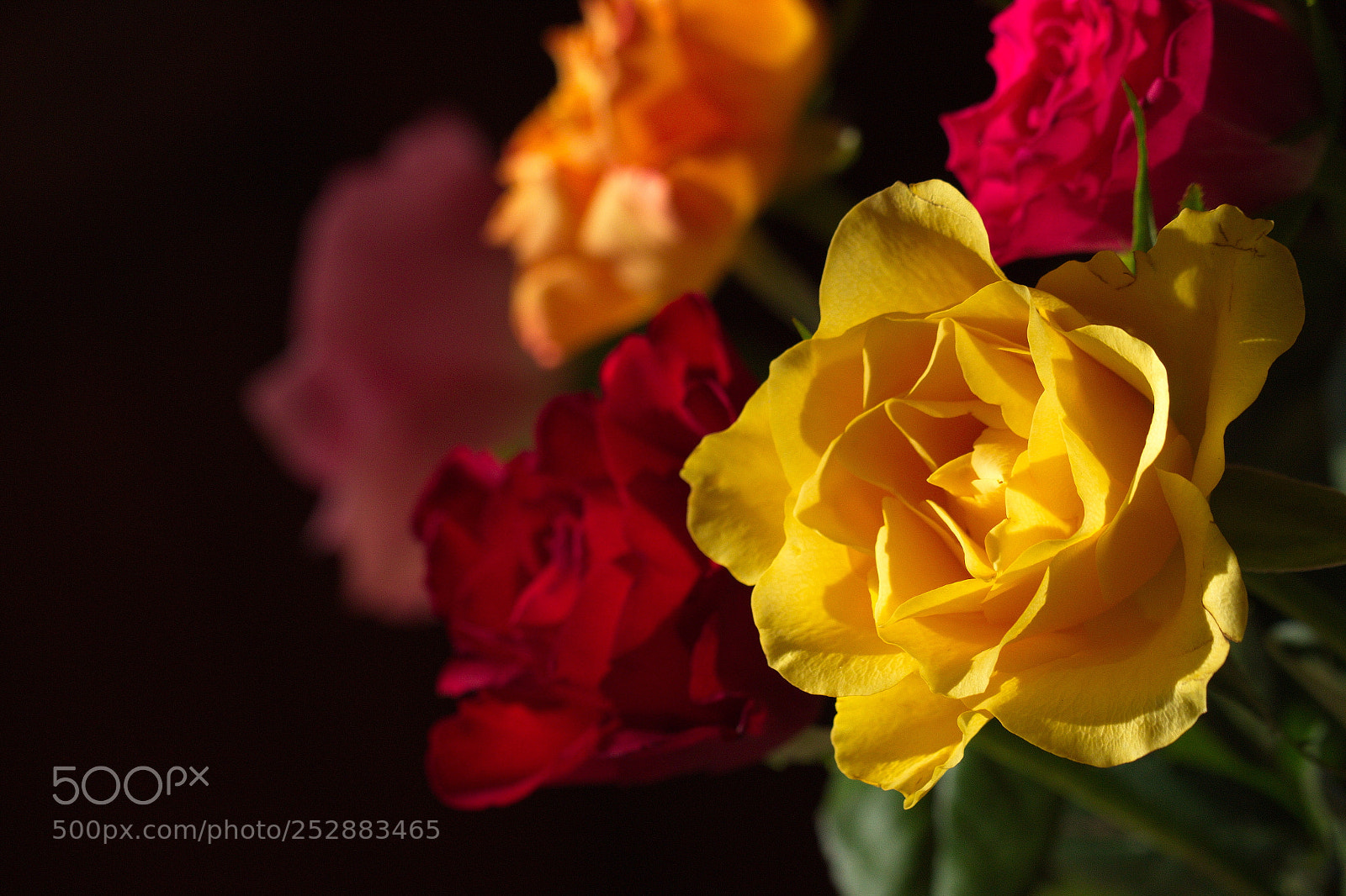 Canon EOS 700D (EOS Rebel T5i / EOS Kiss X7i) sample photo. Force photography