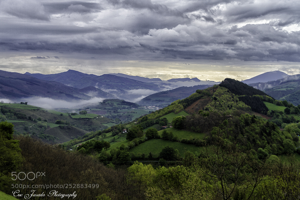Canon EOS 7D sample photo. Cerca de narbarte photography