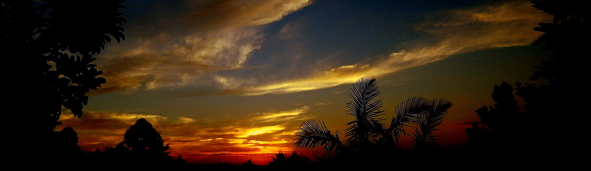 Fujifilm FinePix SL1000 sample photo. Last colors .... photography