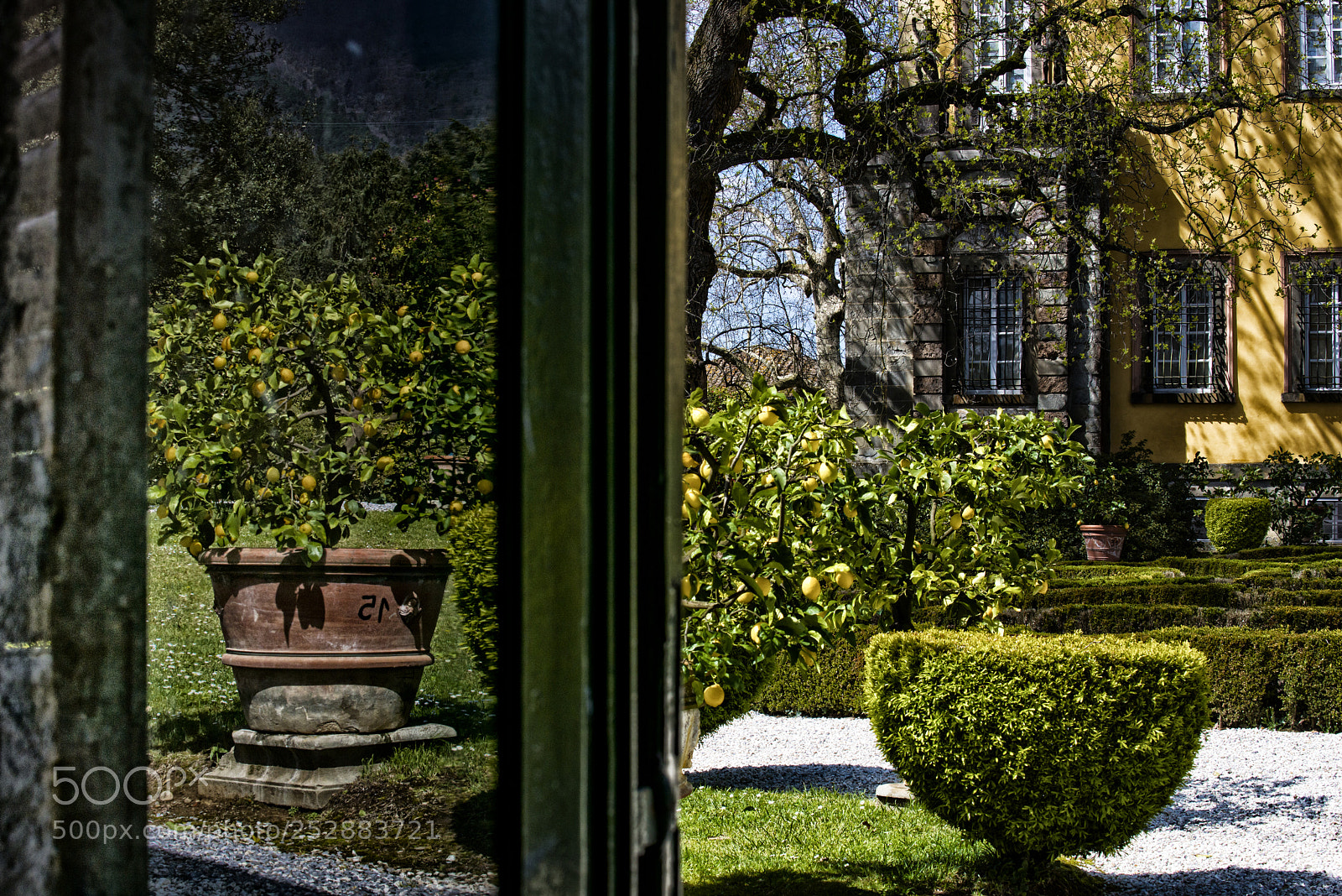 Nikon D800 sample photo. Reflection photography