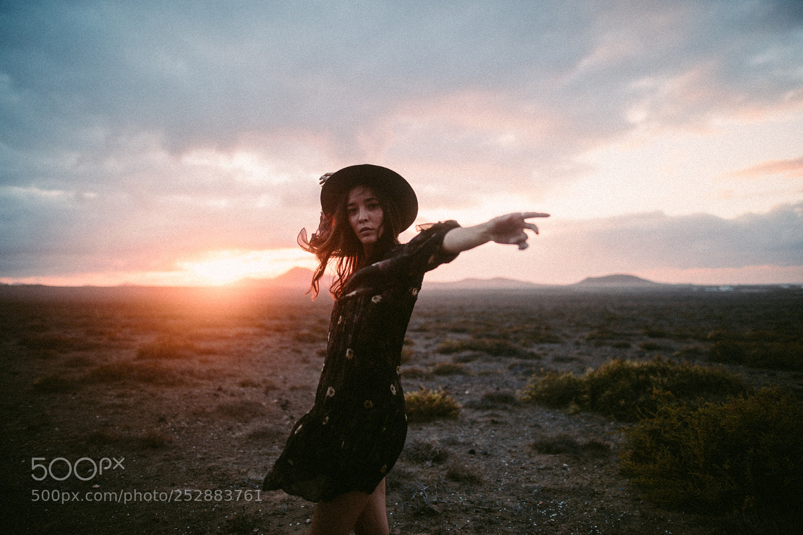 Canon EOS-1D X Mark II sample photo. Untitled photography