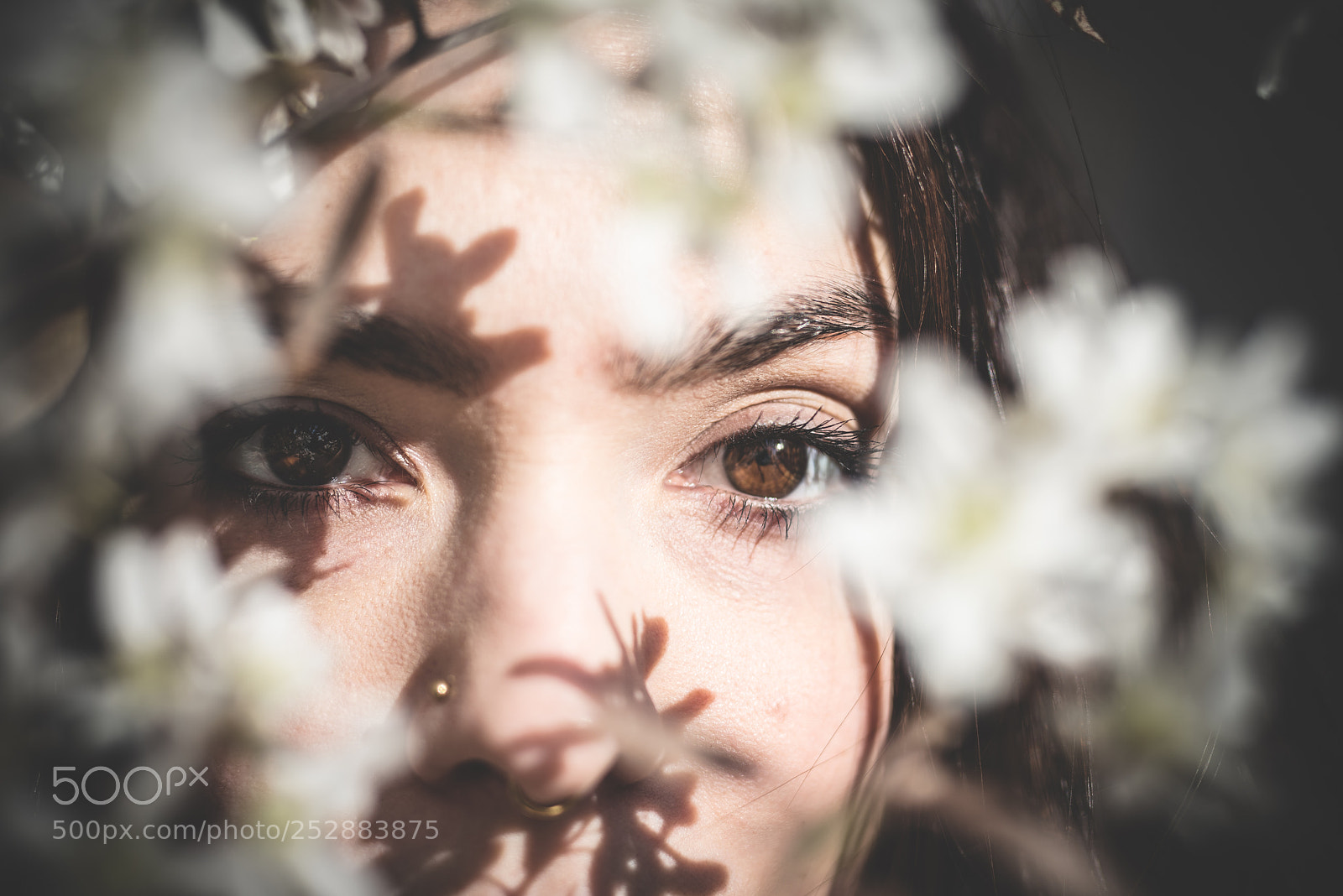 Nikon D810 sample photo. Flowery photography